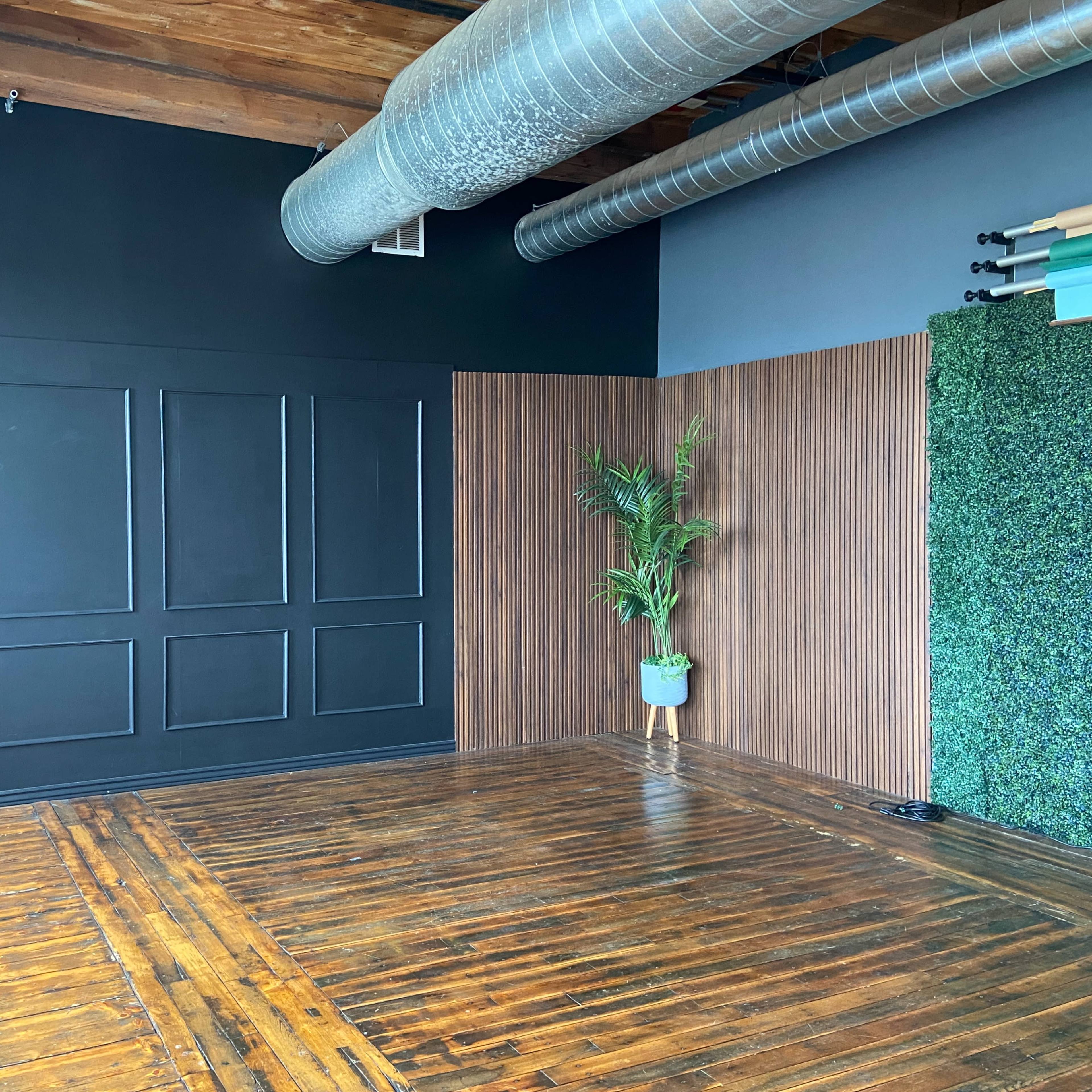 An interior room with dark walls, wooden flooring, a door with glass panels, and a section featuring wood paneling and greenery.