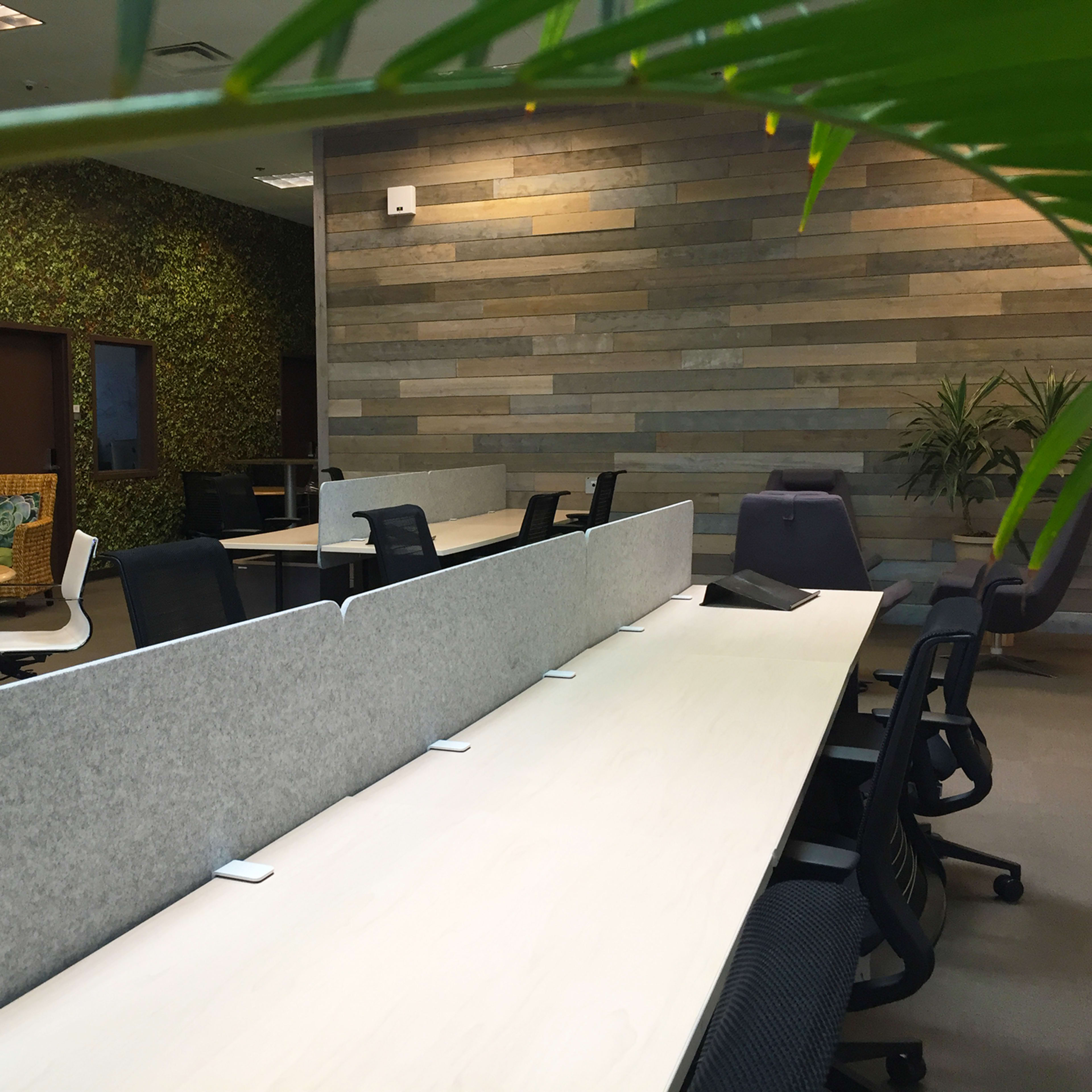 A modern office space featuring organized workstations, a textured green wall, and various seating arrangements.