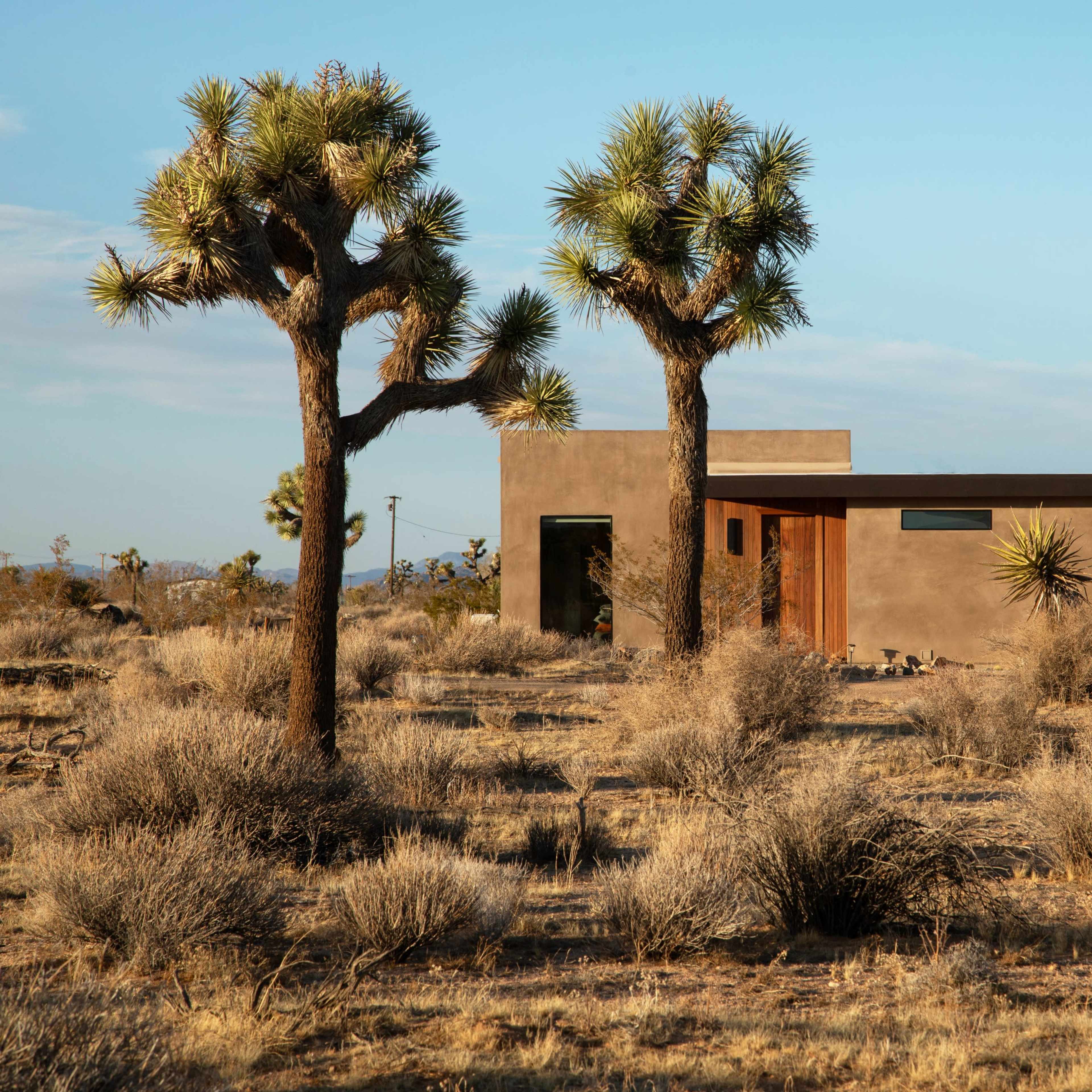 Modern Desert House + Landscape Image in , Yucca Valley, CA