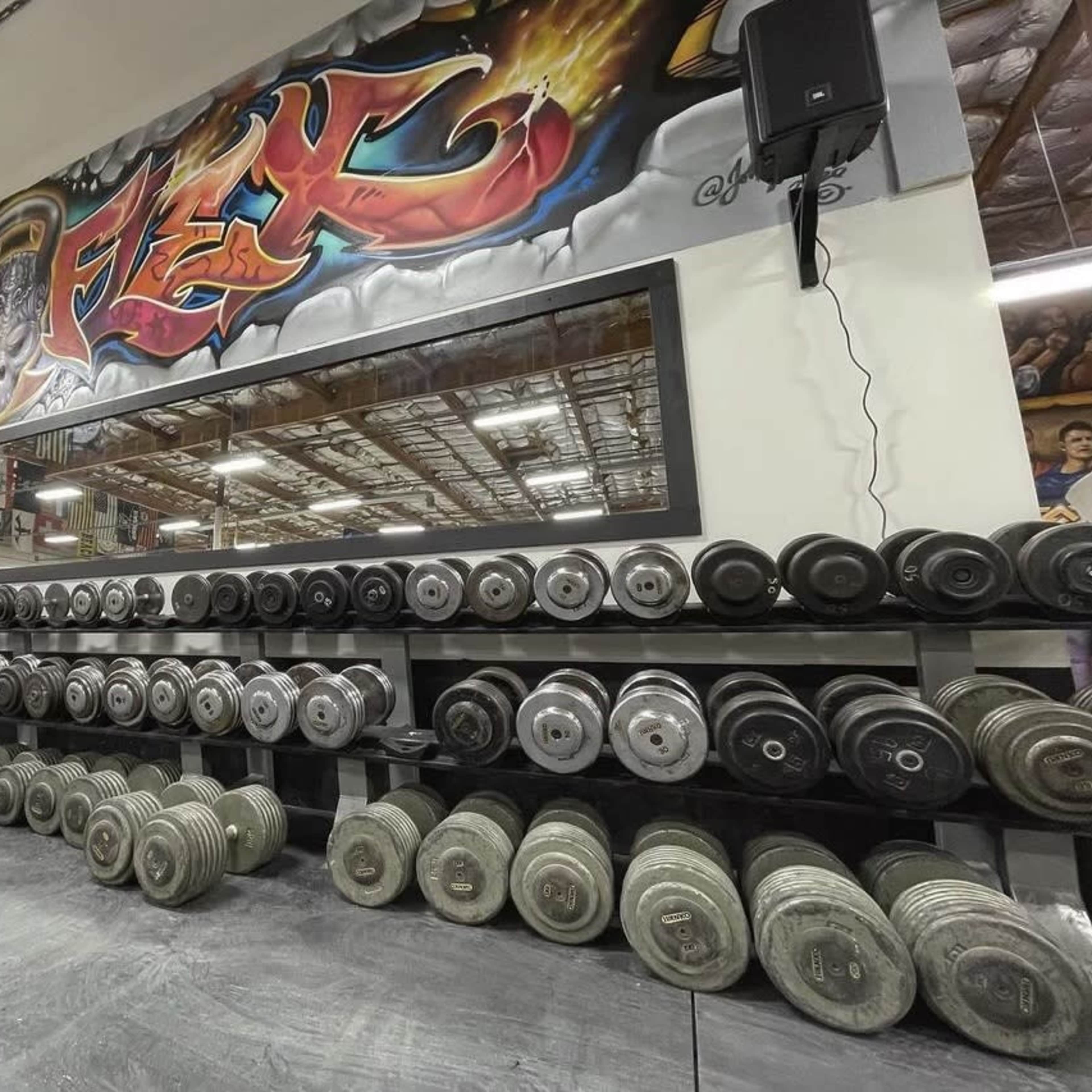 A long rack filled with various sizes of dumbbells in a gym, with a large mirror and graffiti artwork on the wall behind.