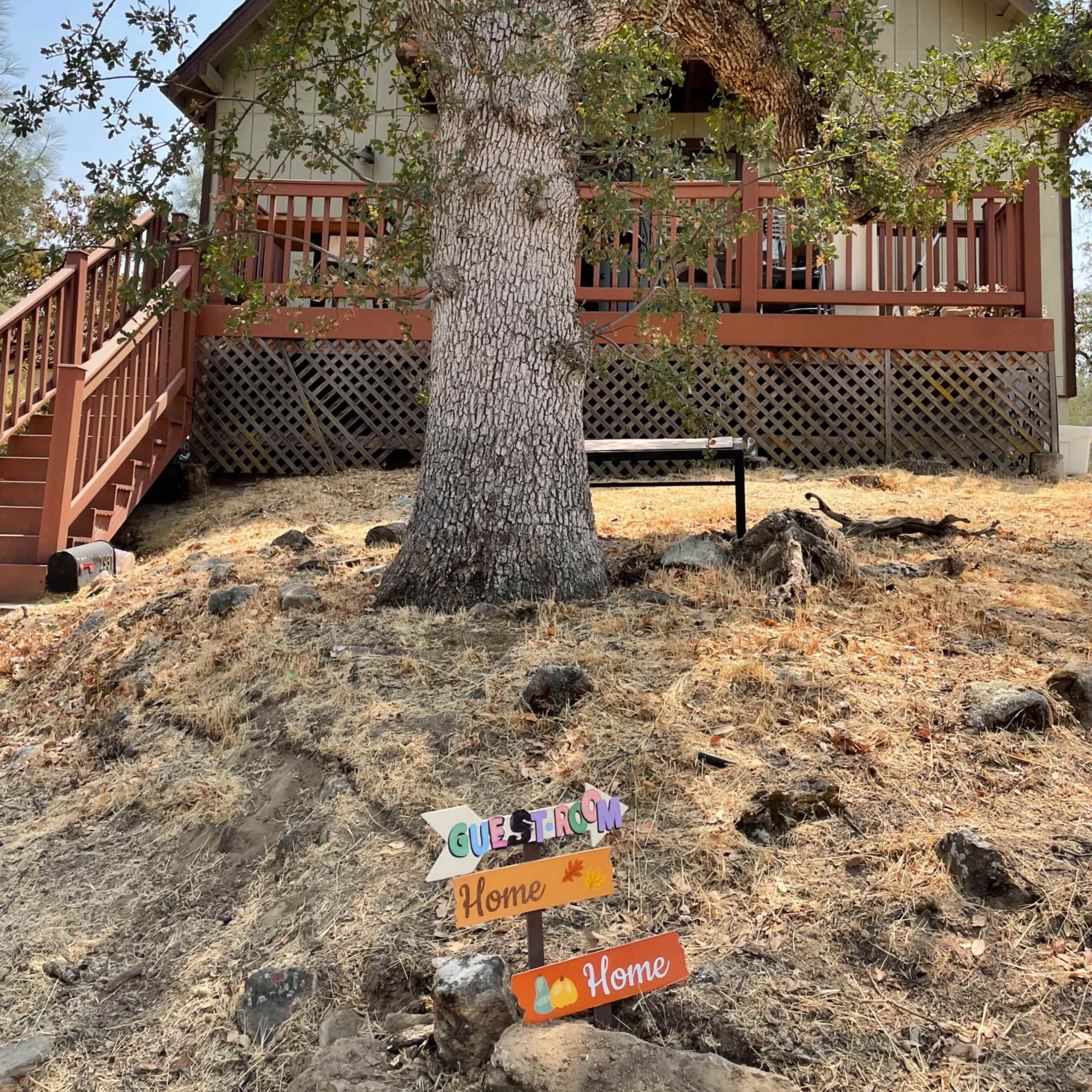 A house with a wooden porch is situated on a hillside, framed by a large tree and surrounded by dry grass and rocks.