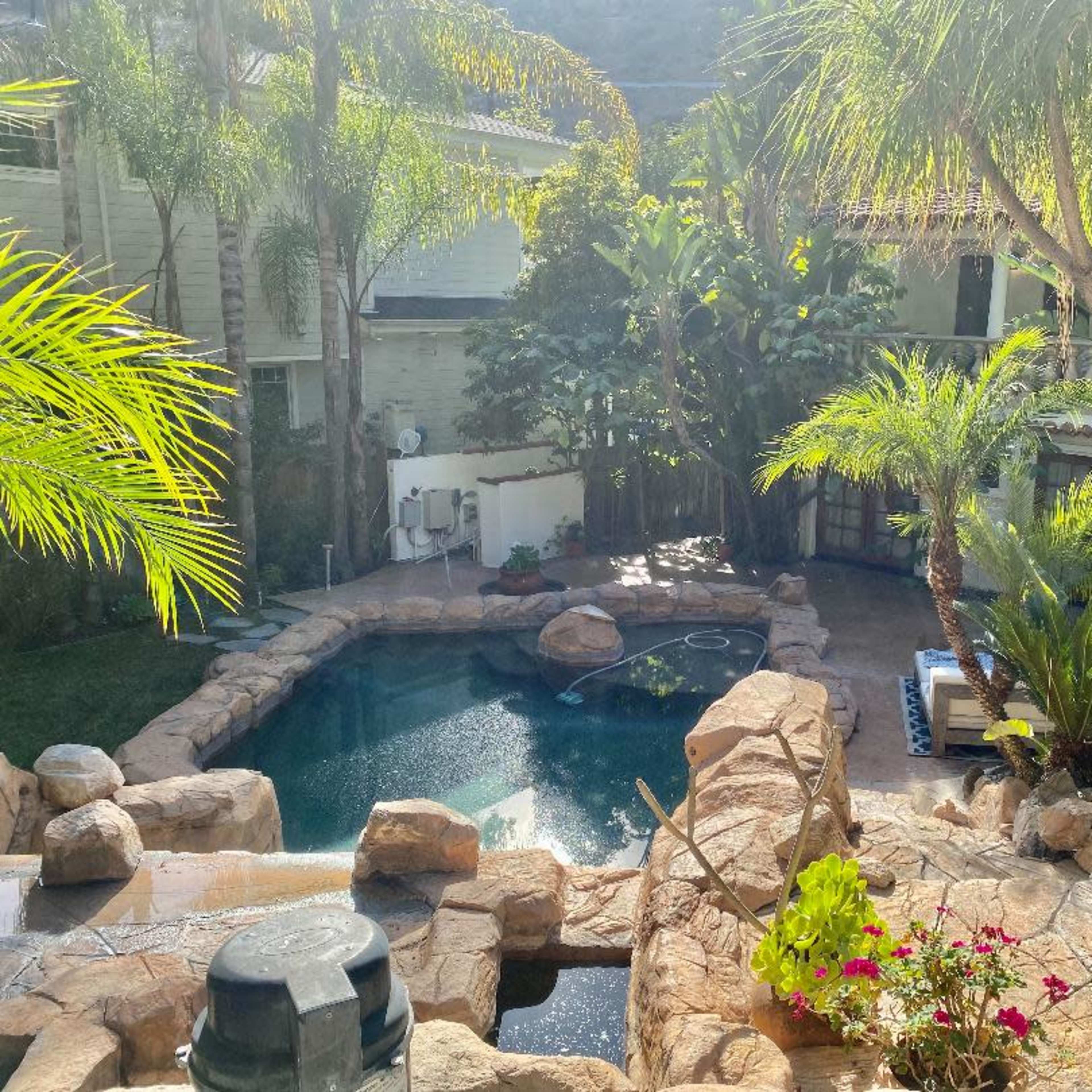 A landscaped backyard featuring a swimming pool surrounded by rocks, tropical plants, and a deck area with lounge chairs.