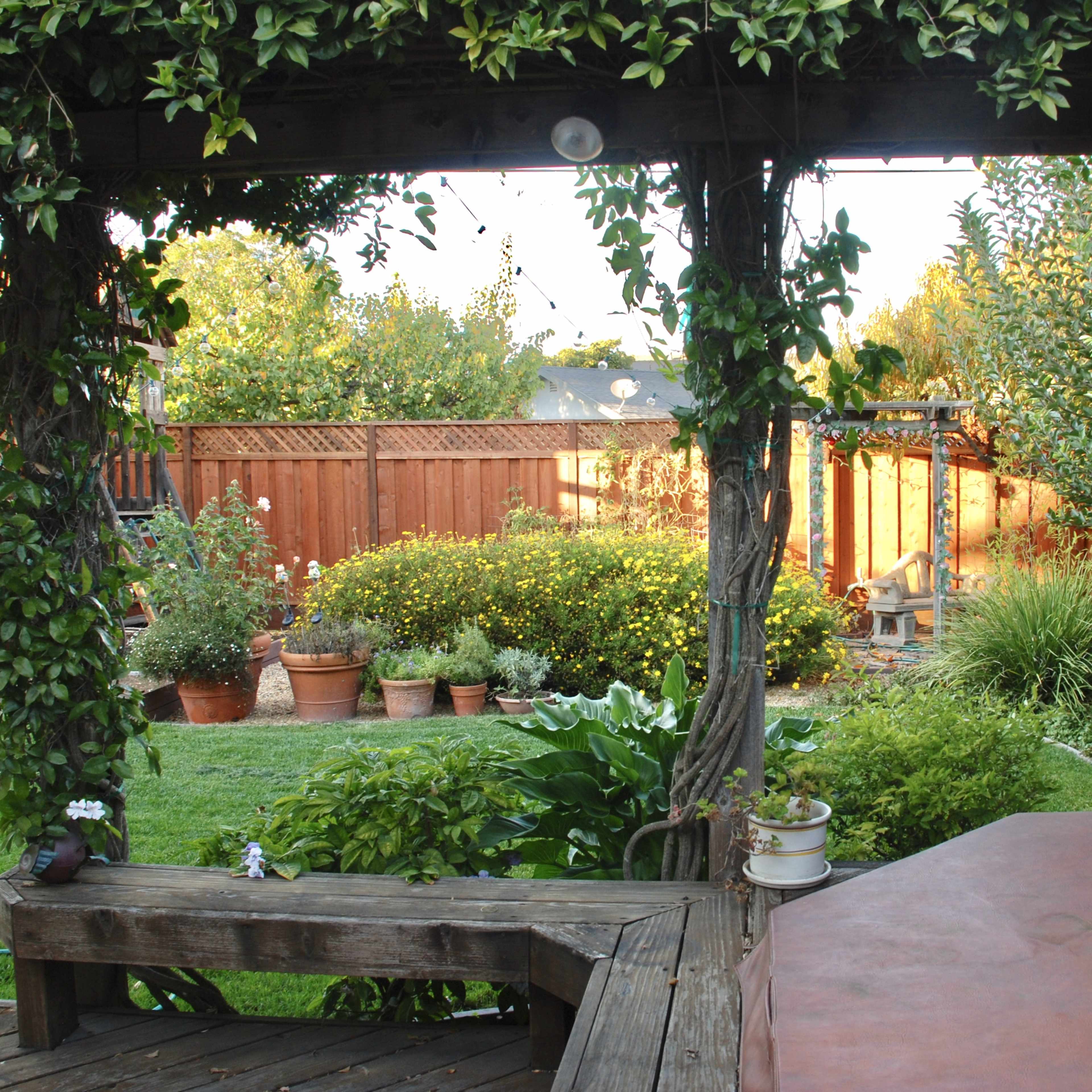 A backyard garden with a wooden deck surrounded by potted plants and green foliage.