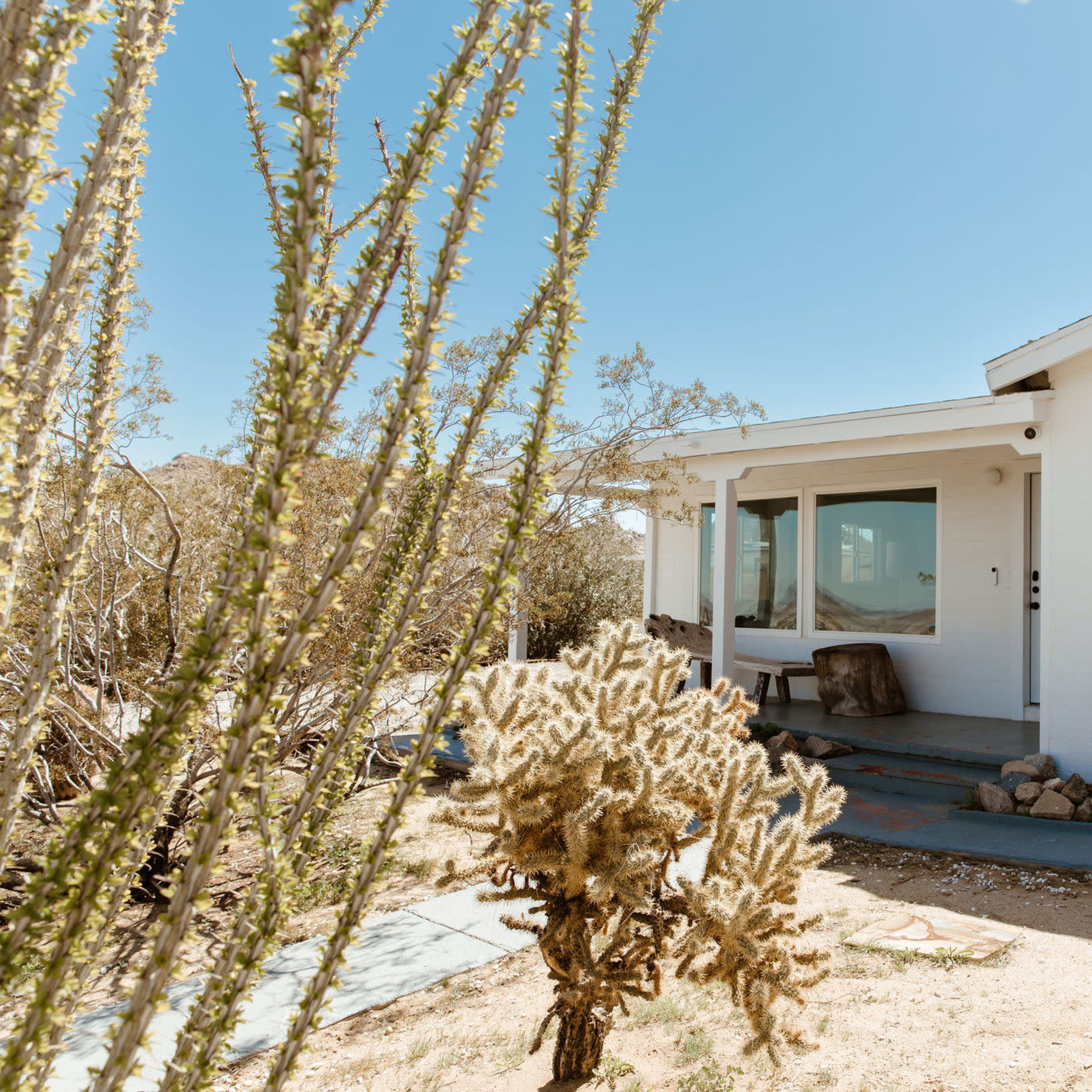 A modern white house with large windows sits in a desert landscape, surrounded by cacti and rocky terrain.