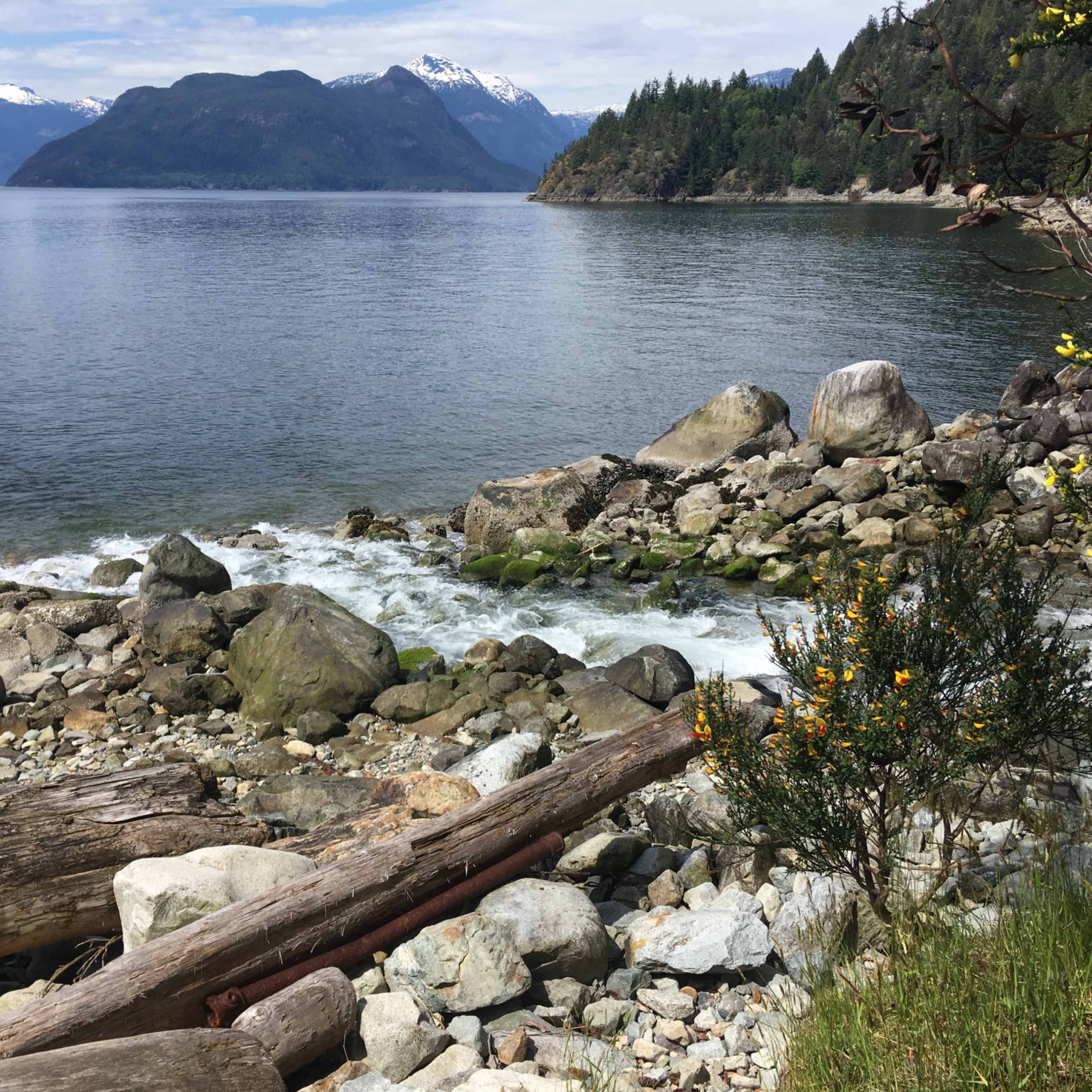 Iconic red couch with ocean view or breathtaking mountain backdrop Image in Lions Bay, Lions Bay, BC