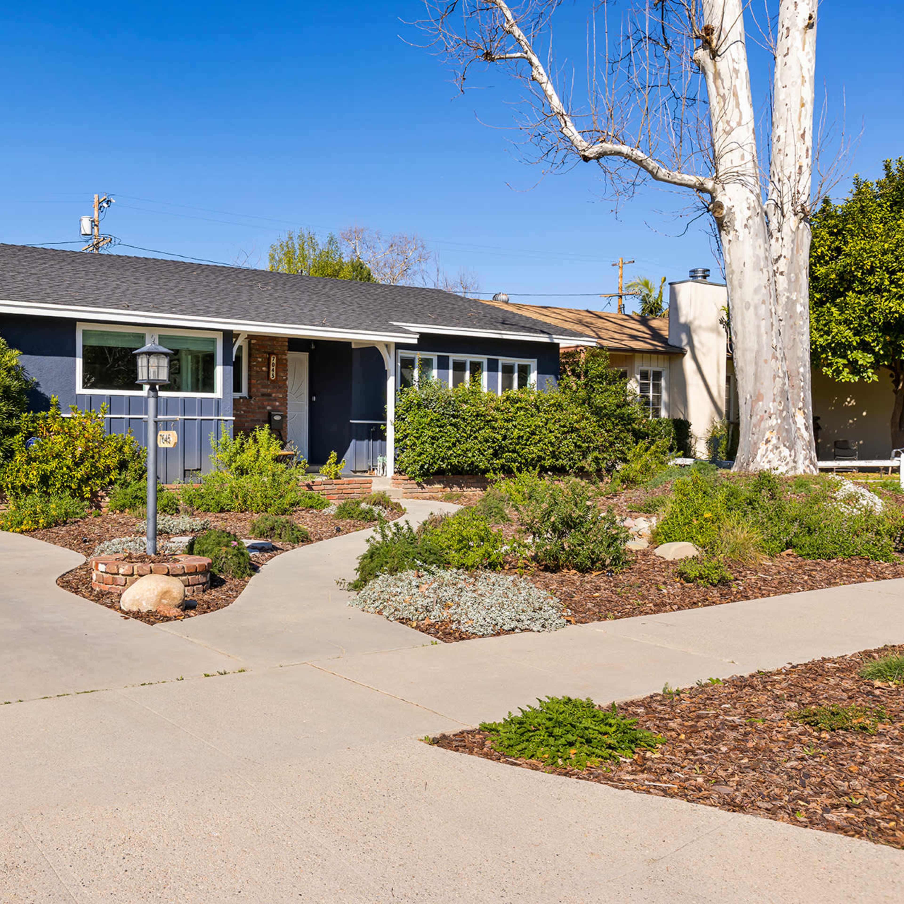 A single-story blue house with a well-maintained front yard featuring various plants and a pathway leading to the entrance.
