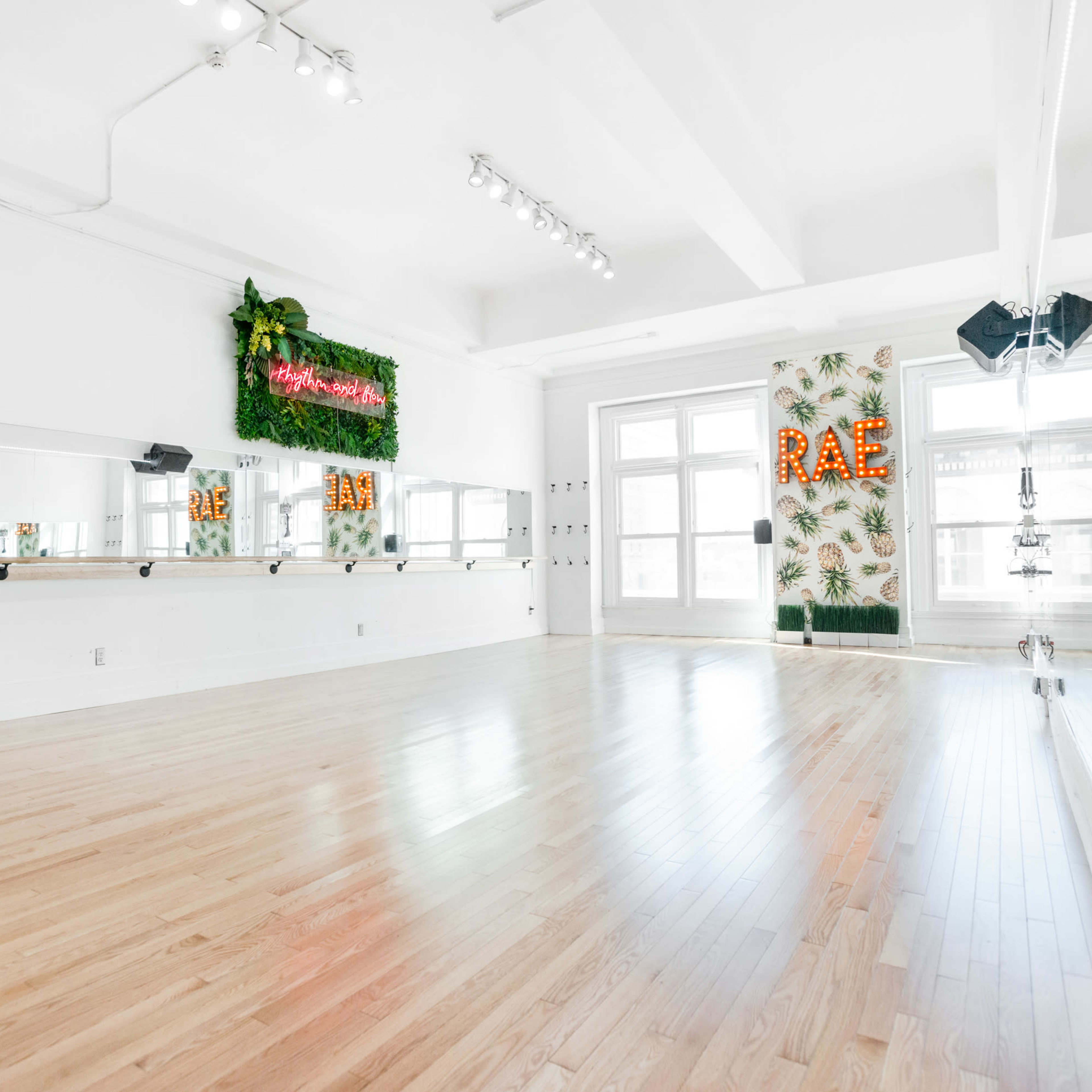 A bright, empty dance studio featuring wooden flooring, mirrors, and decorative greenery on the walls.