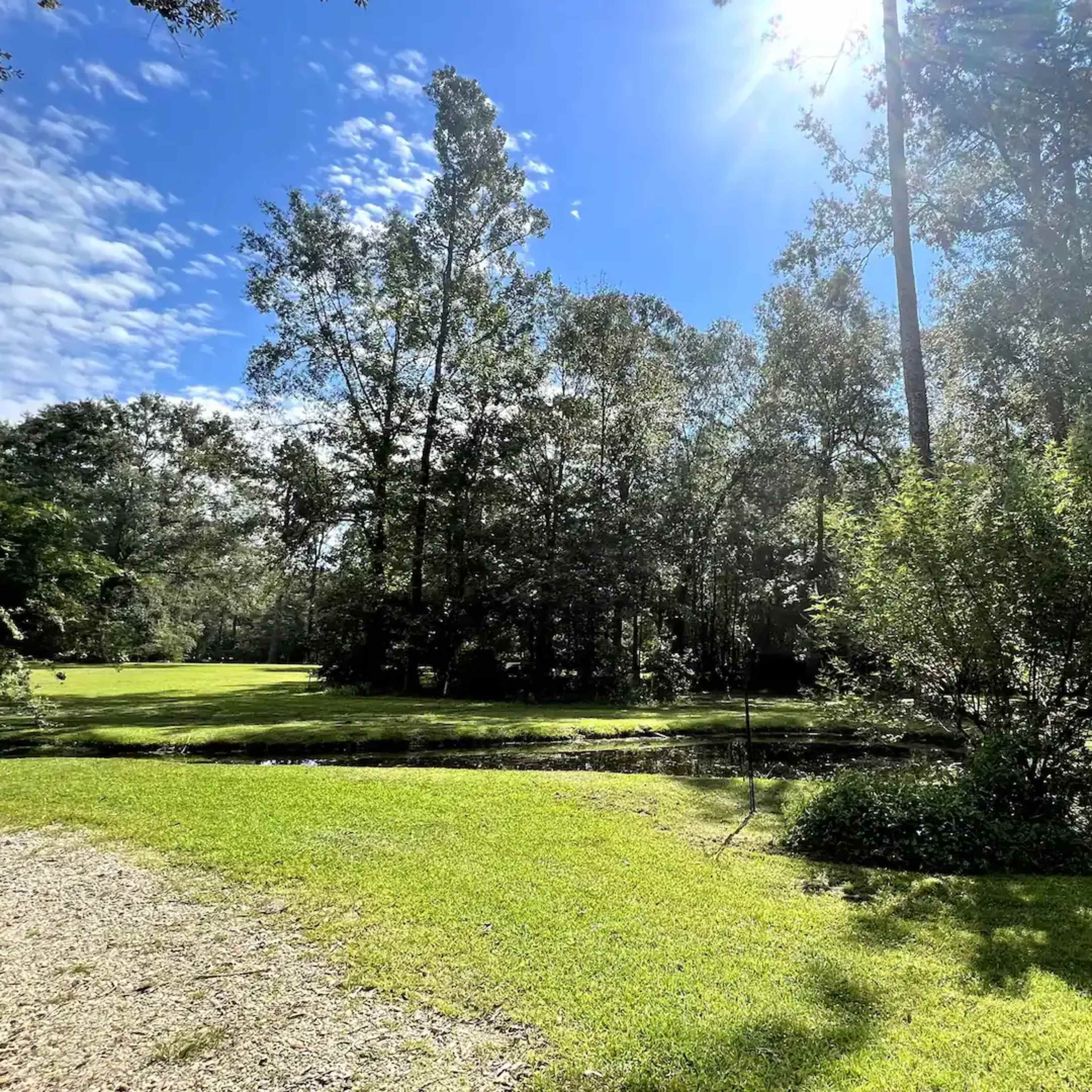 A sunlit landscape features a lush green lawn, a small pond, and tall trees under a blue sky with scattered clouds.