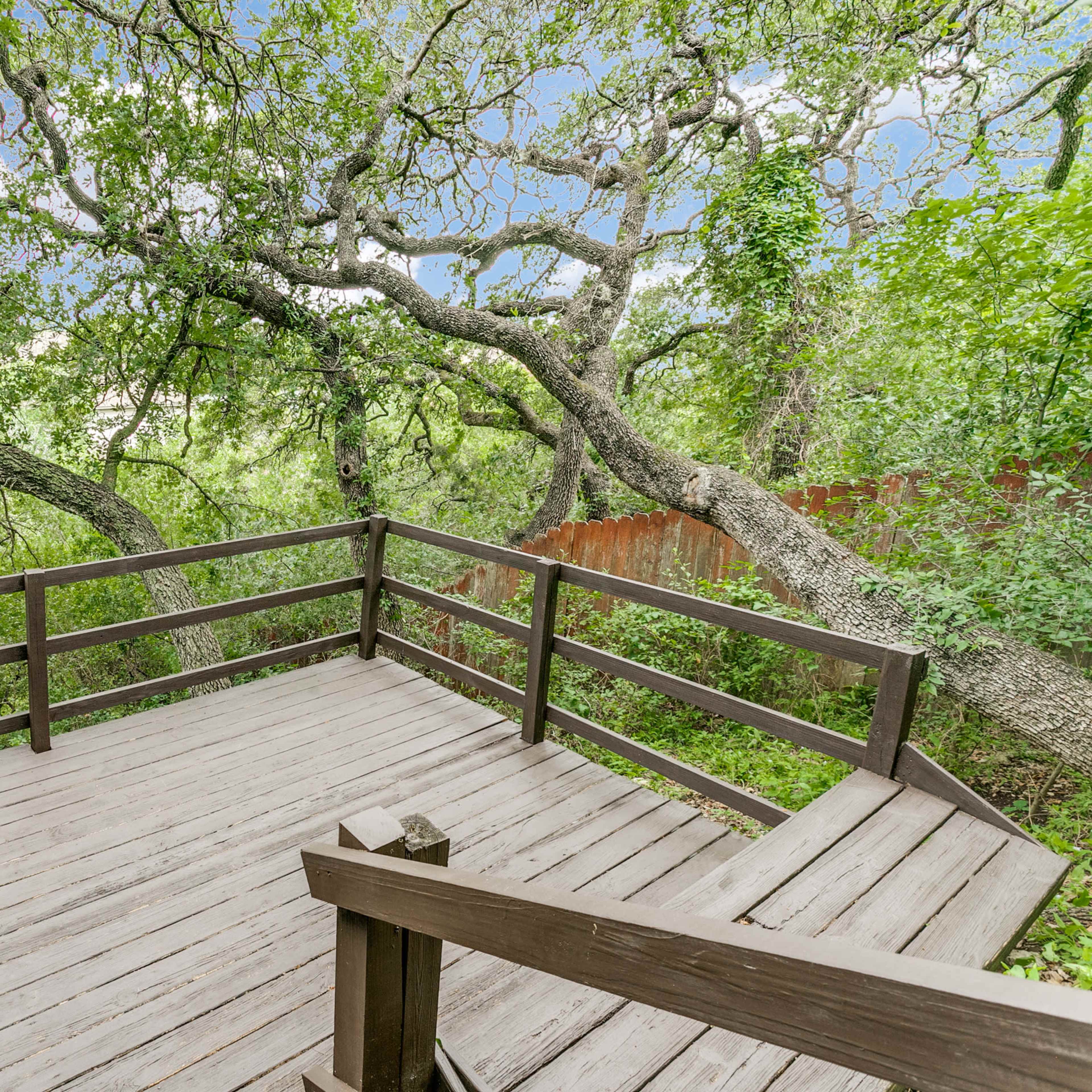 A wooden deck is surrounded by dense green foliage and large trees.