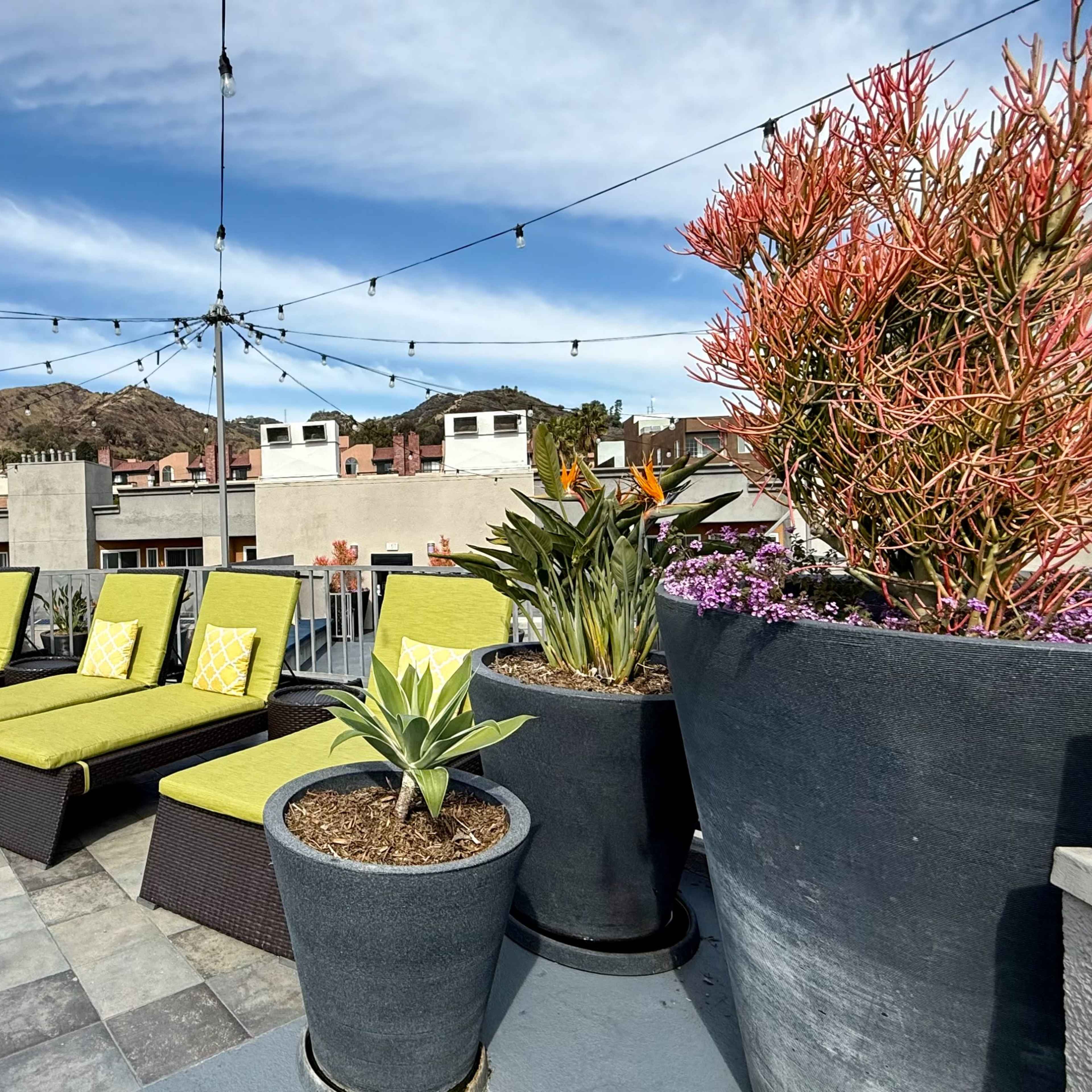 Scenic Rooftop Event Space with Stunning City & Hollywood Hills Views Image in Hollywood, Los Angeles, CA