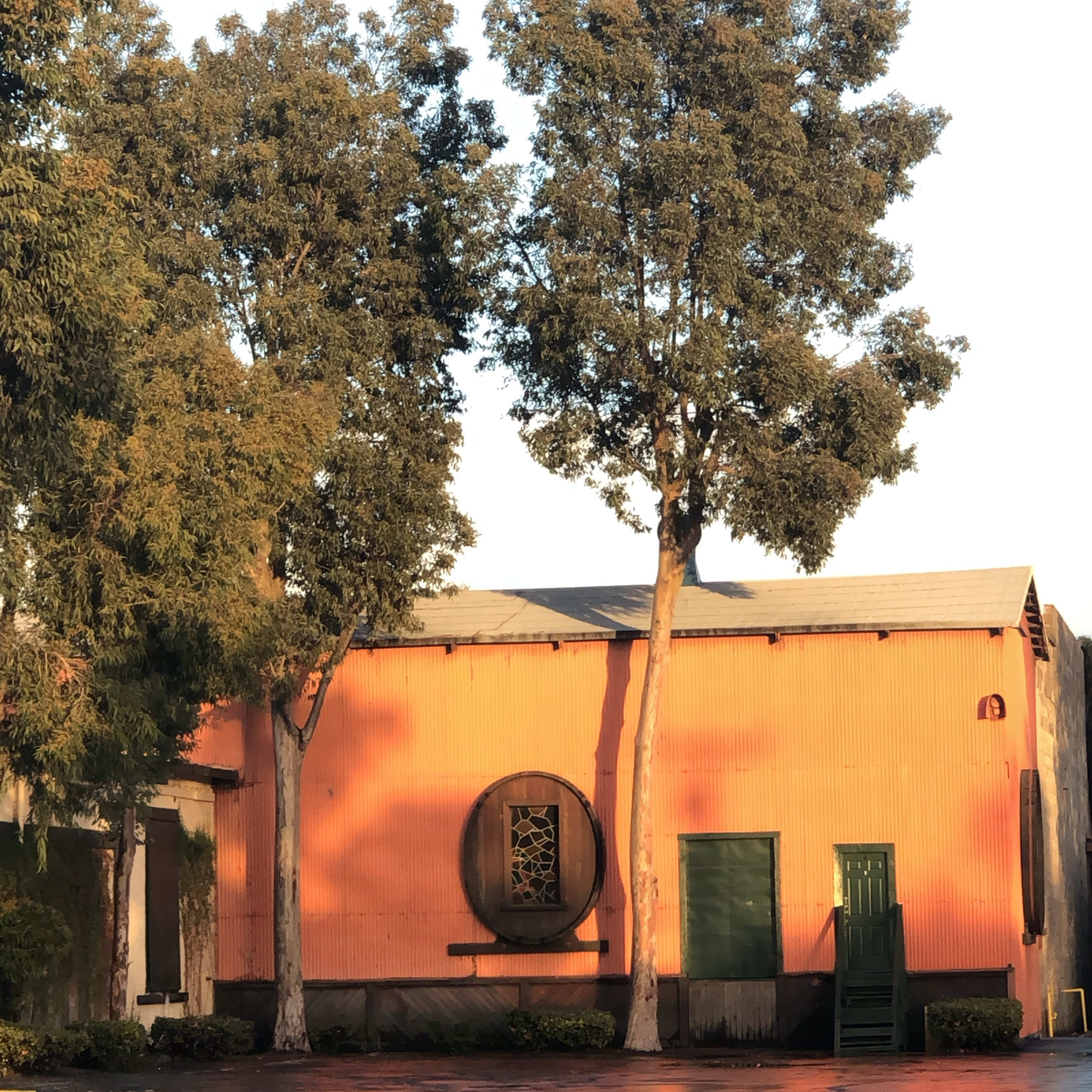 A single-story orange building with green doors and large circular windows stands beside two tall trees.