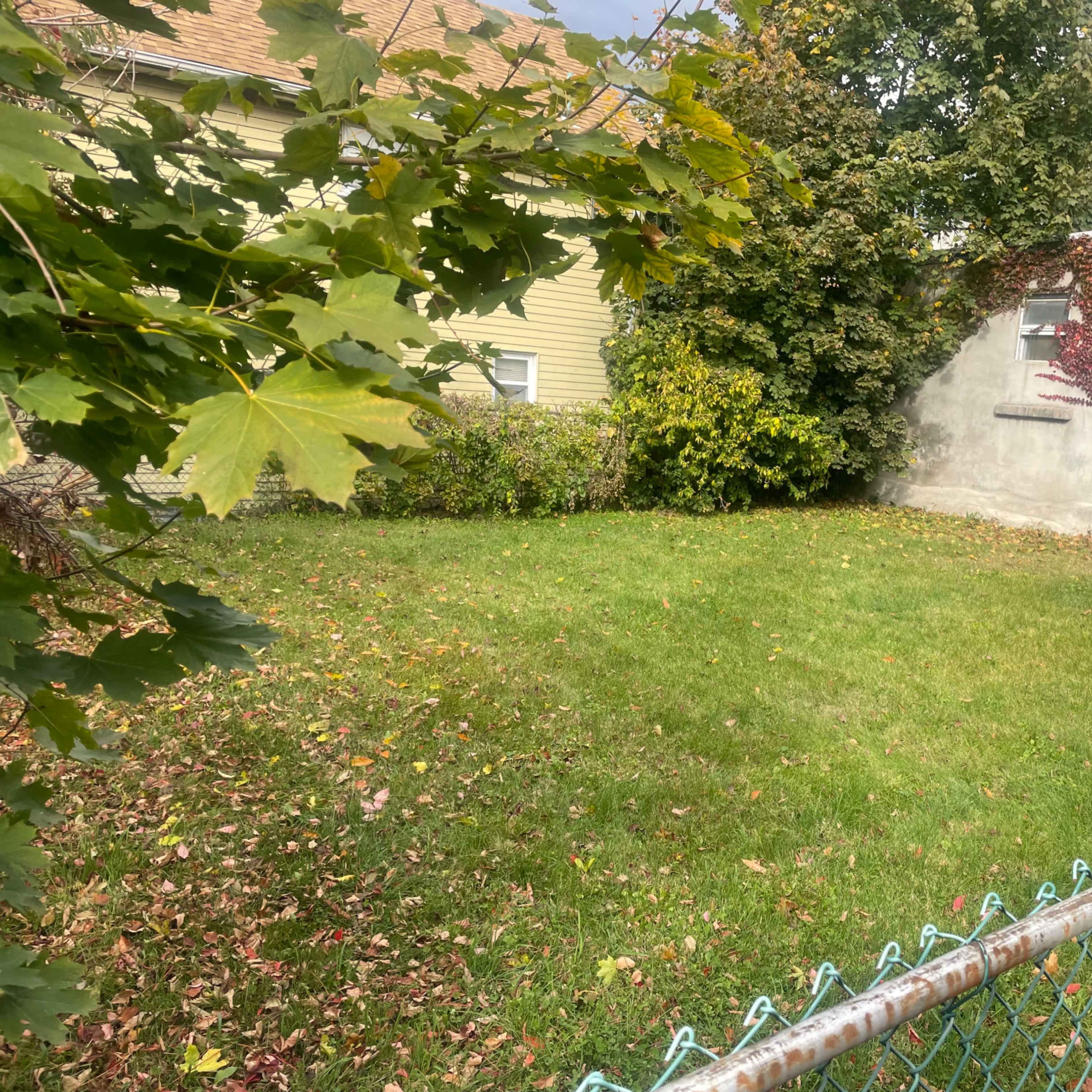 A green grassy area enclosed by a chain-link fence, with leaves scattered on the ground and buildings visible in the background.