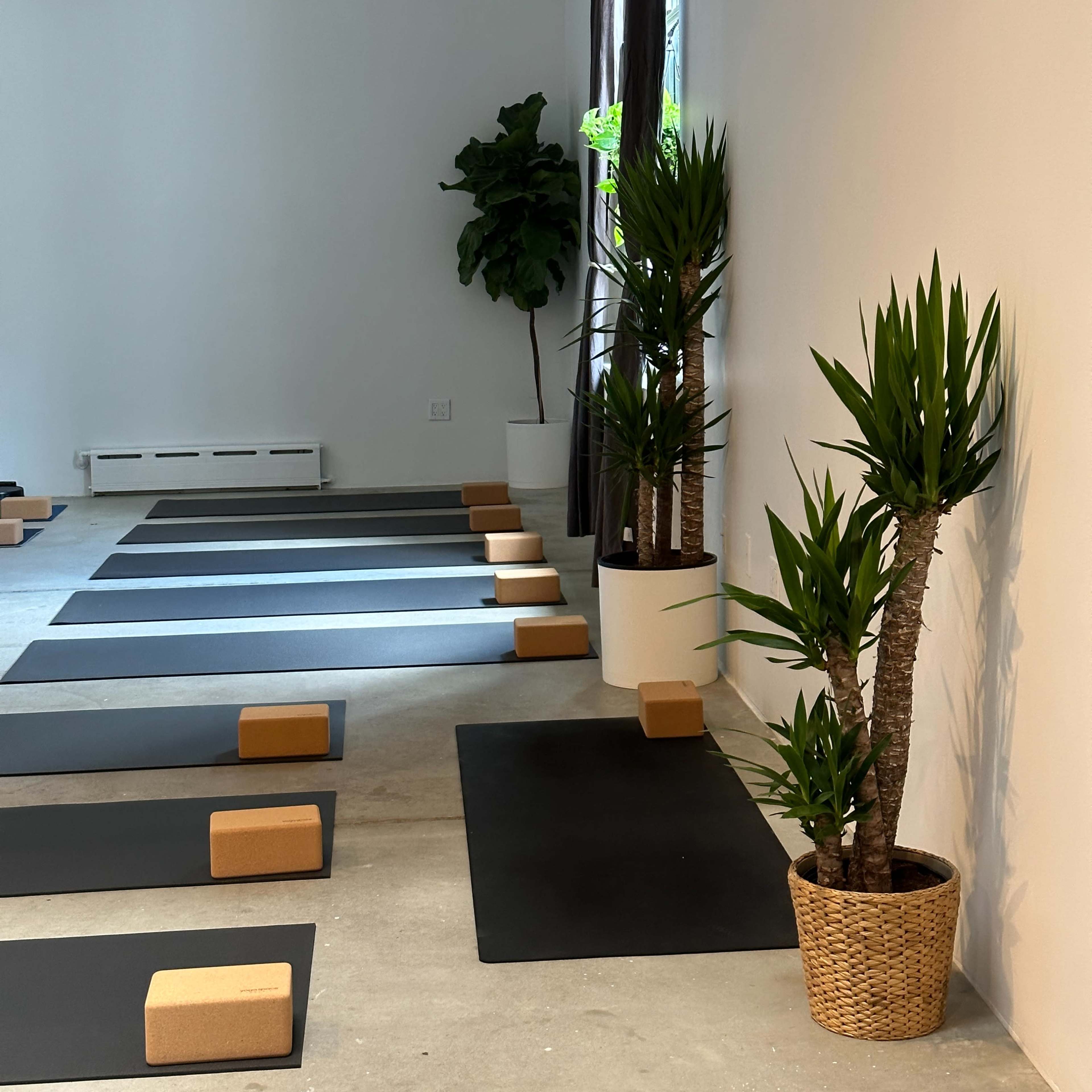 A minimalist yoga studio with black mats arranged neatly on the floor, surrounded by potted plants and yoga blocks.