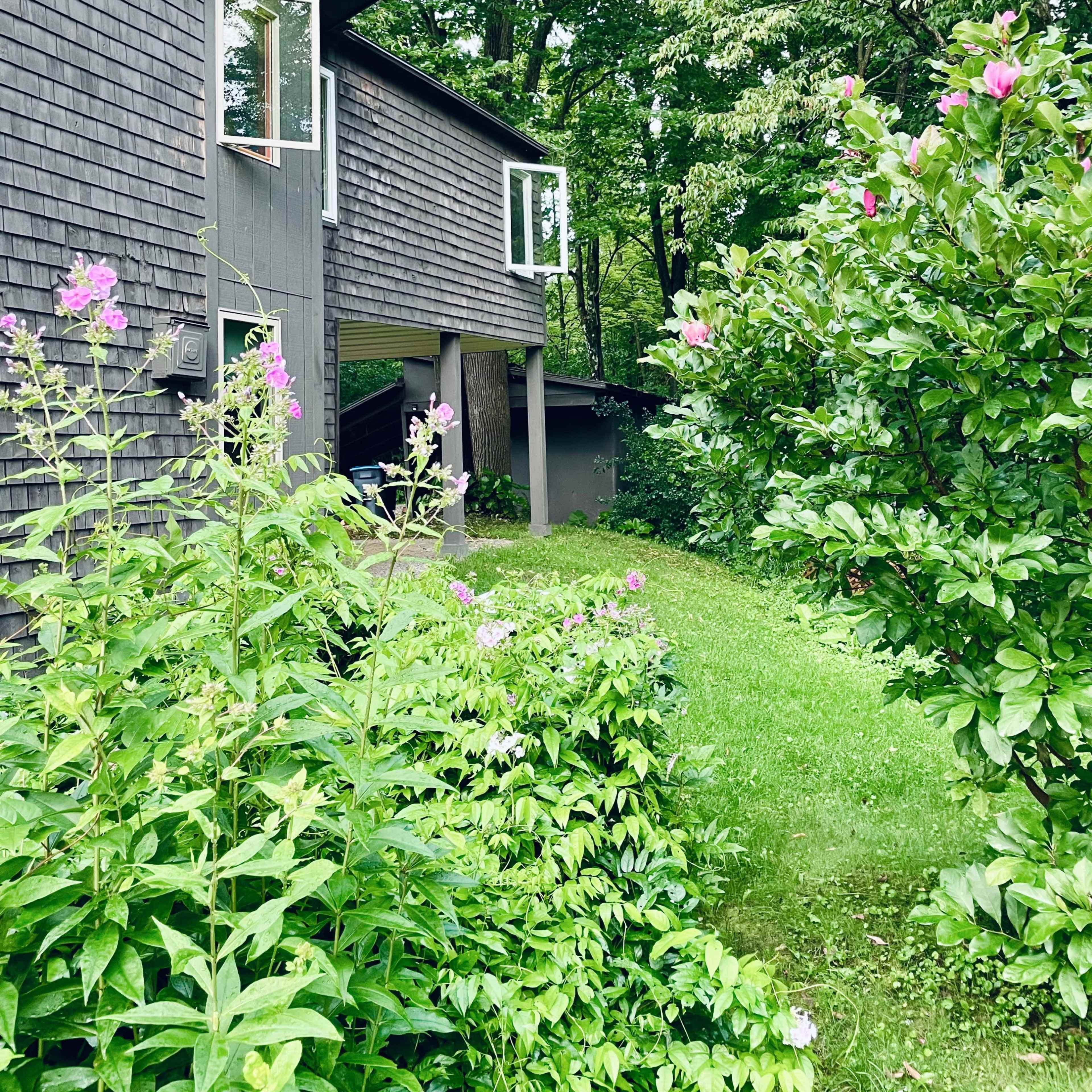 A modern house with dark wooden siding is partially surrounded by lush green shrubs and flowering plants, with open windows that overlook the yard.