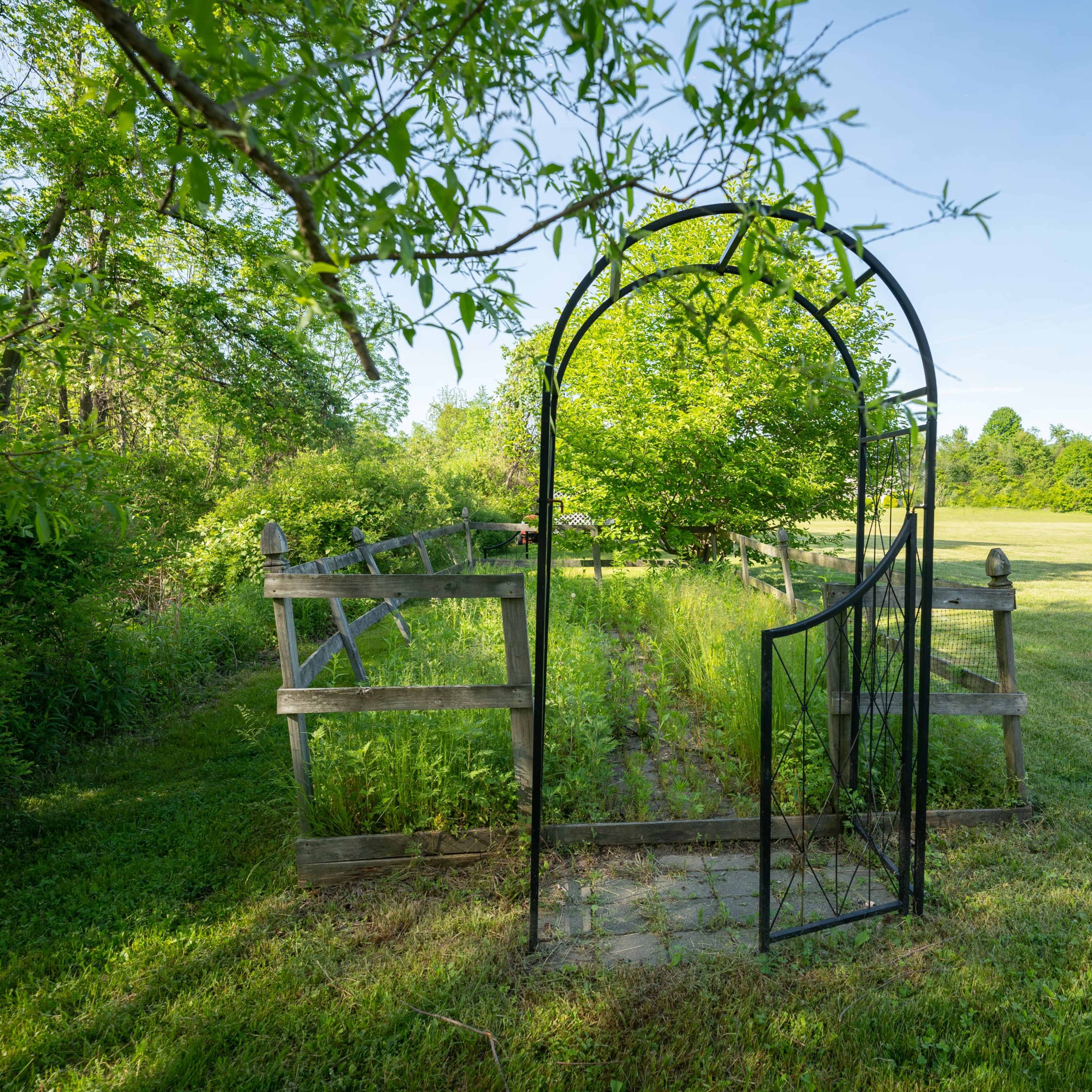An ornate black gate leads into a lush, green garden surrounded by trees and a wooden fence.