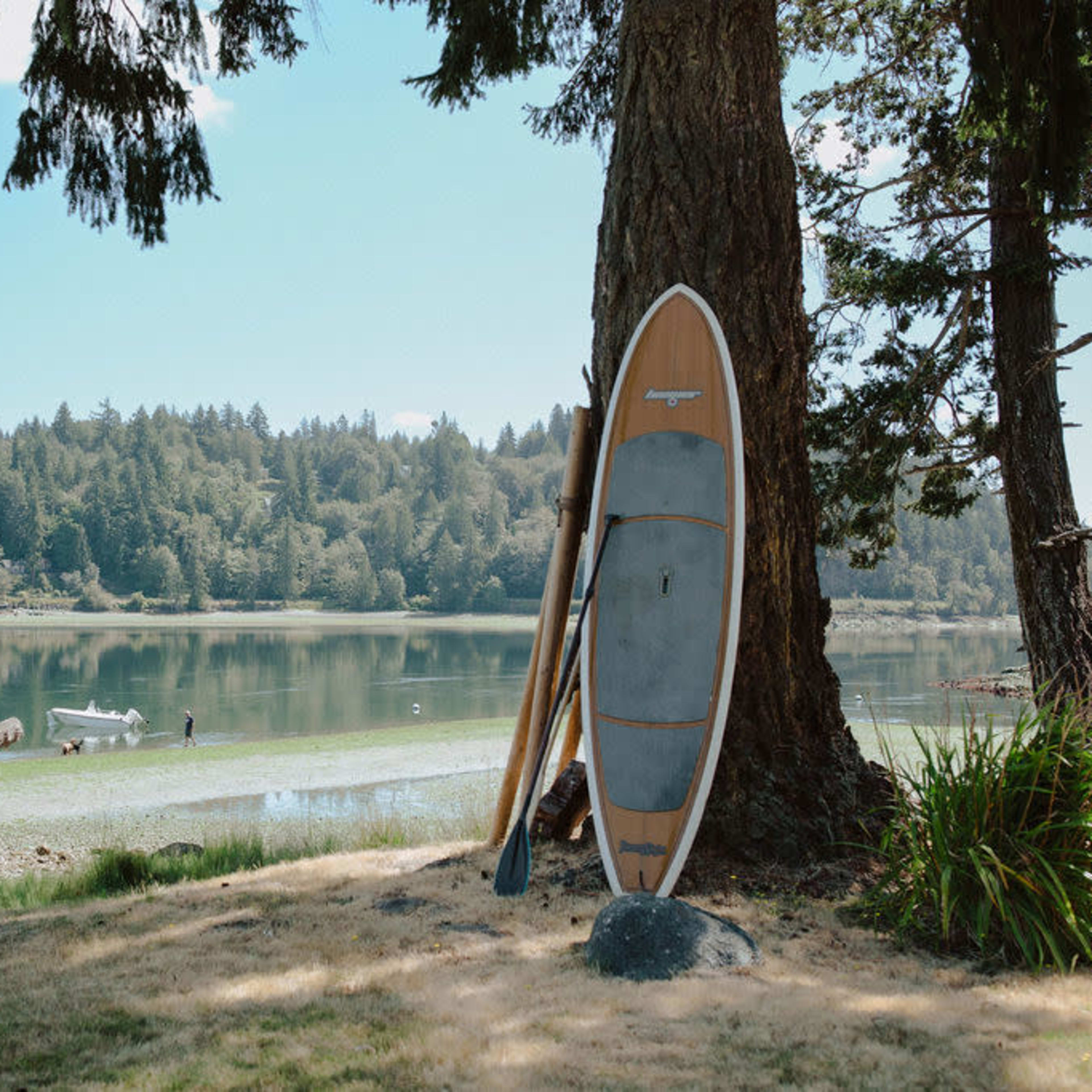 A stand-up paddleboard leans against a tree by a calm lake surrounded by forested hills.