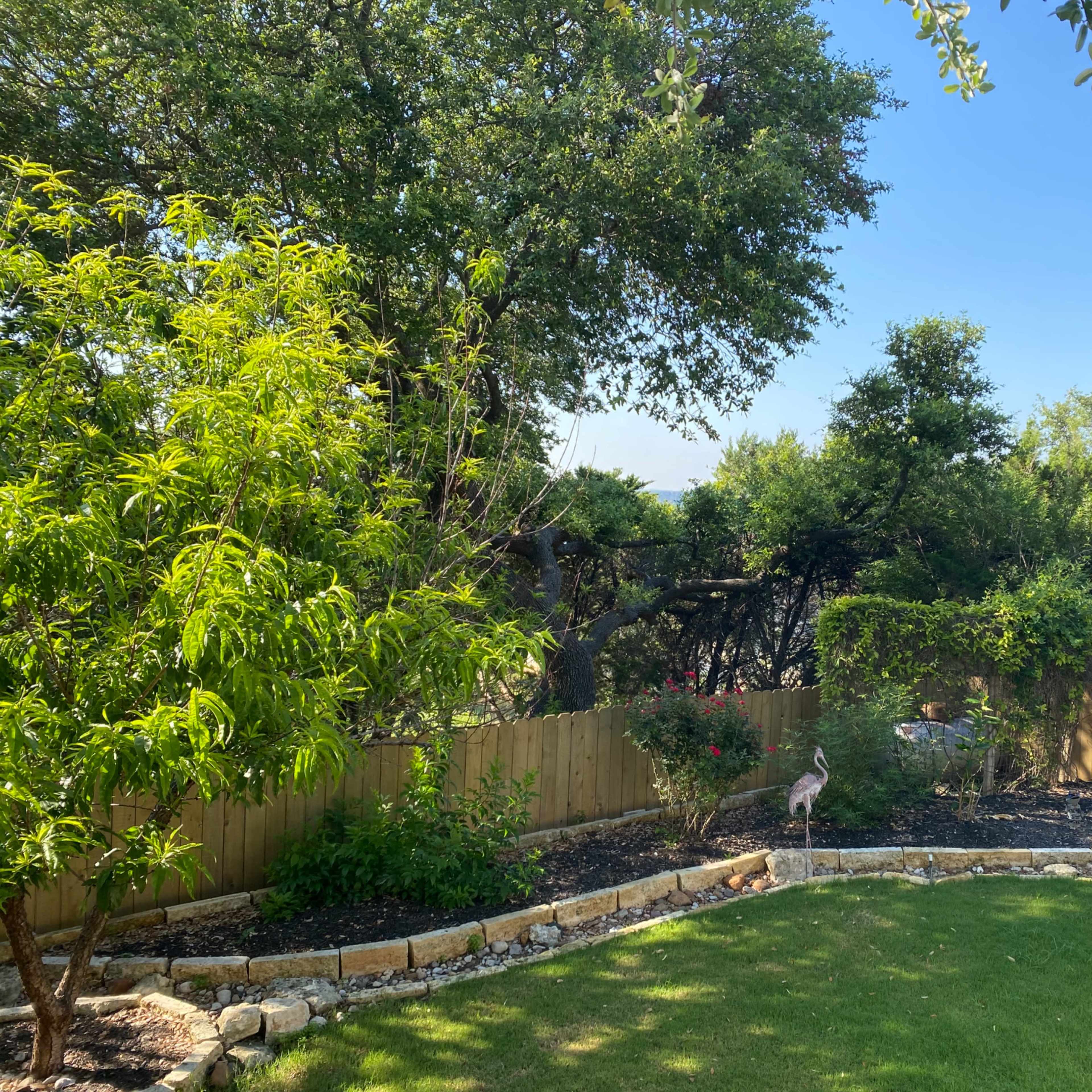 A landscaped backyard with trees, a curved stone border, and decorative statues near a lawn.