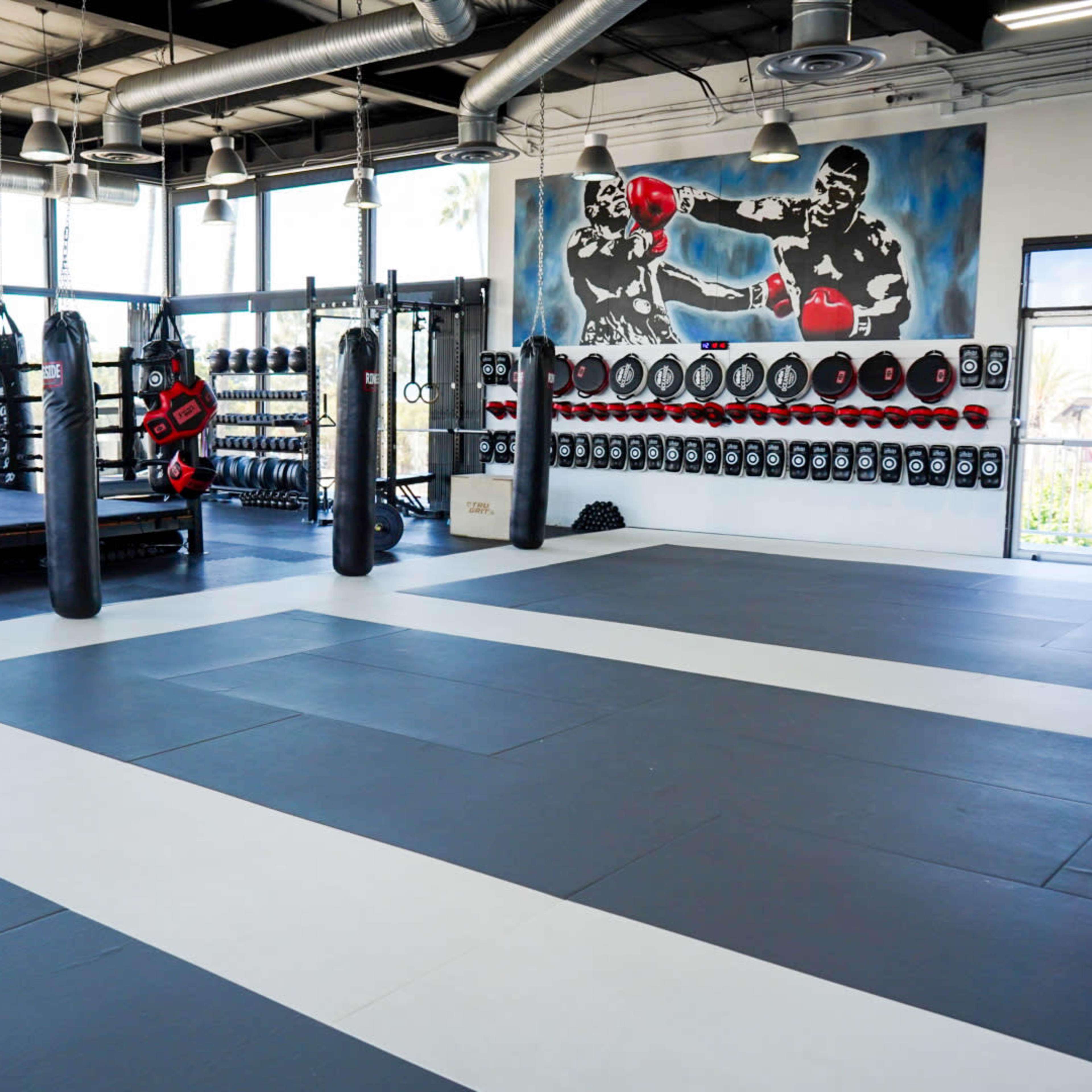 A spacious martial arts gym featuring a boxing ring, wall-mounted punching bags, and black and gray training mats.