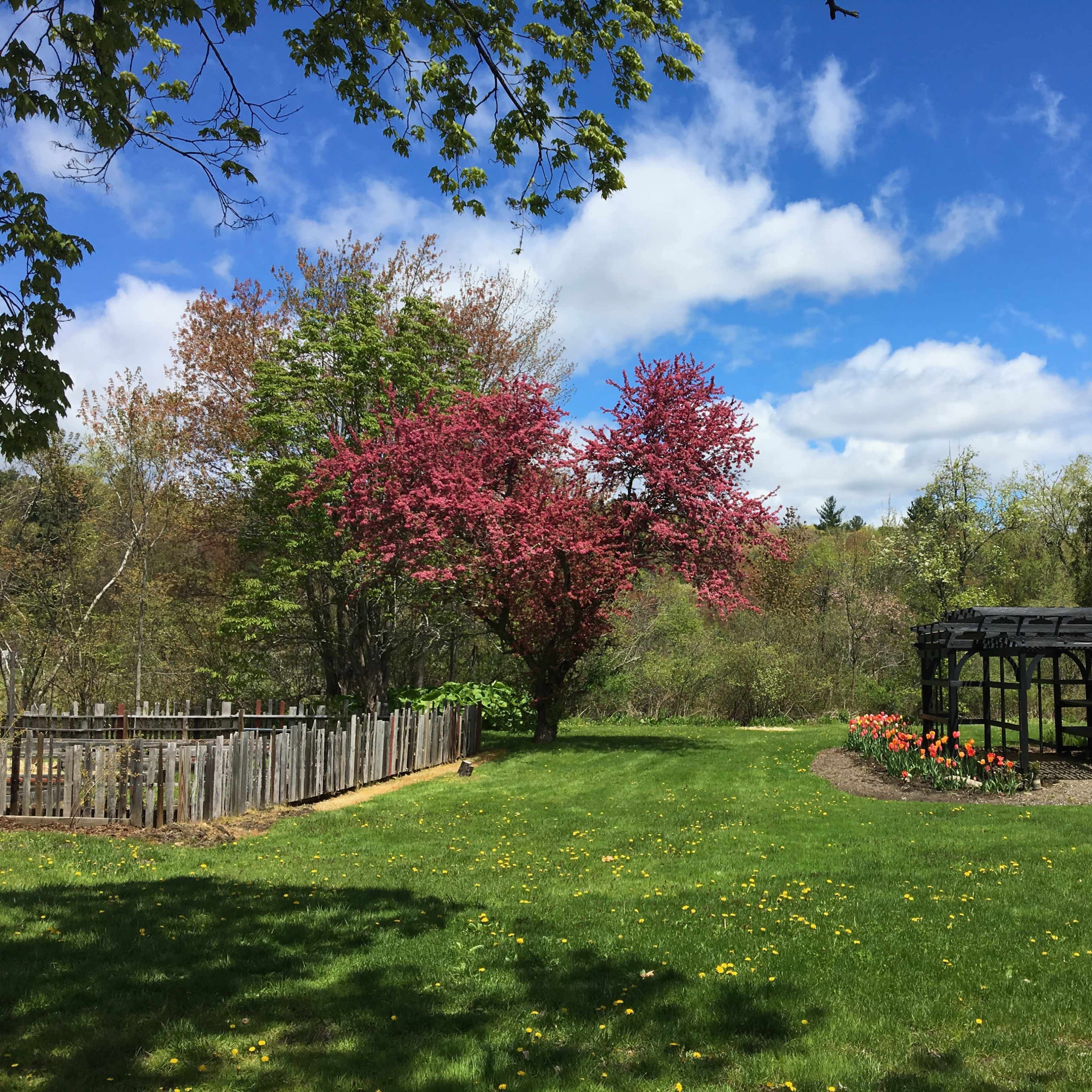 A garden scene features a pink flowering tree, a wooden fence, a gazebo, and blooming flowers under a partly cloudy sky.