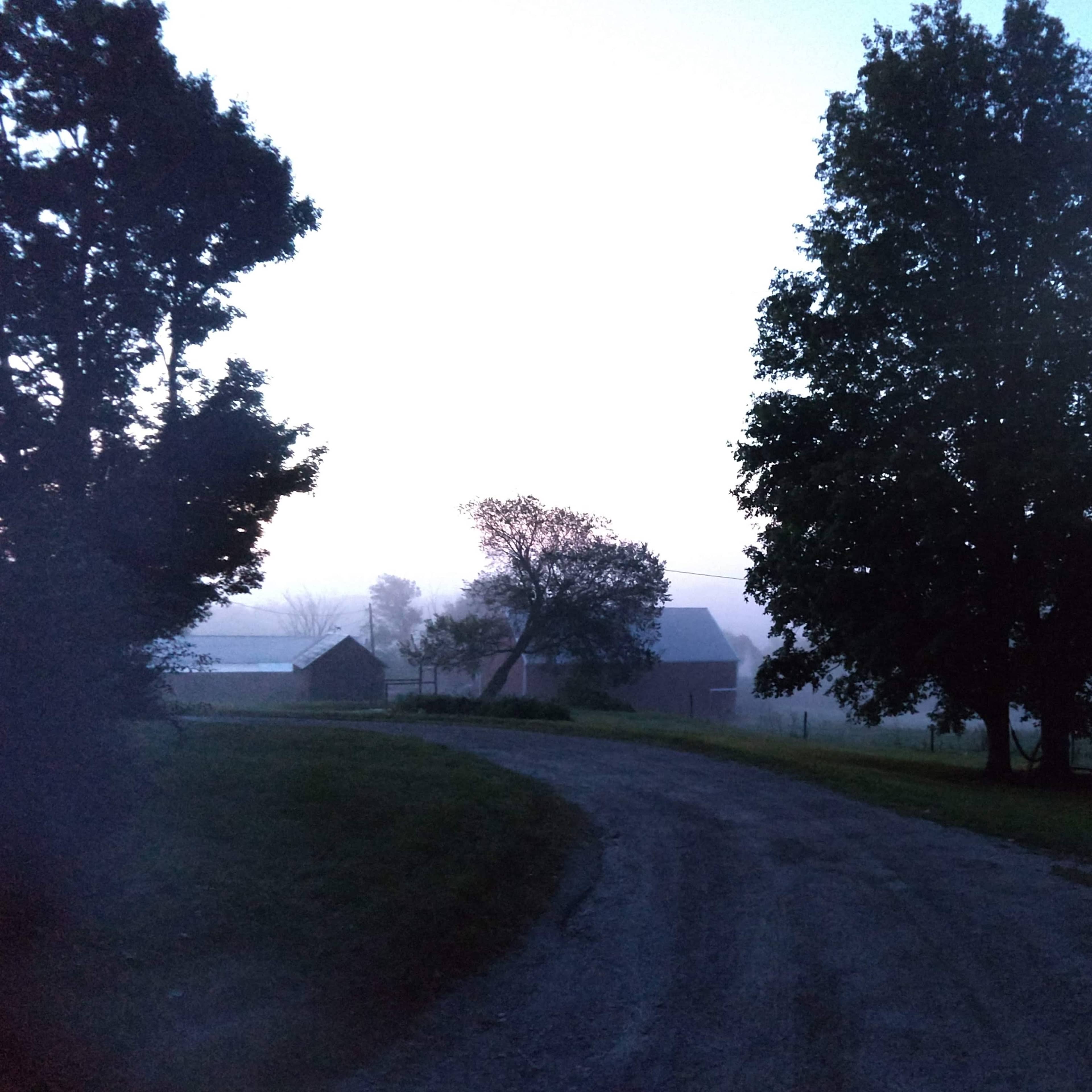 A gravel road winds through a foggy landscape with trees and distant buildings in the background.