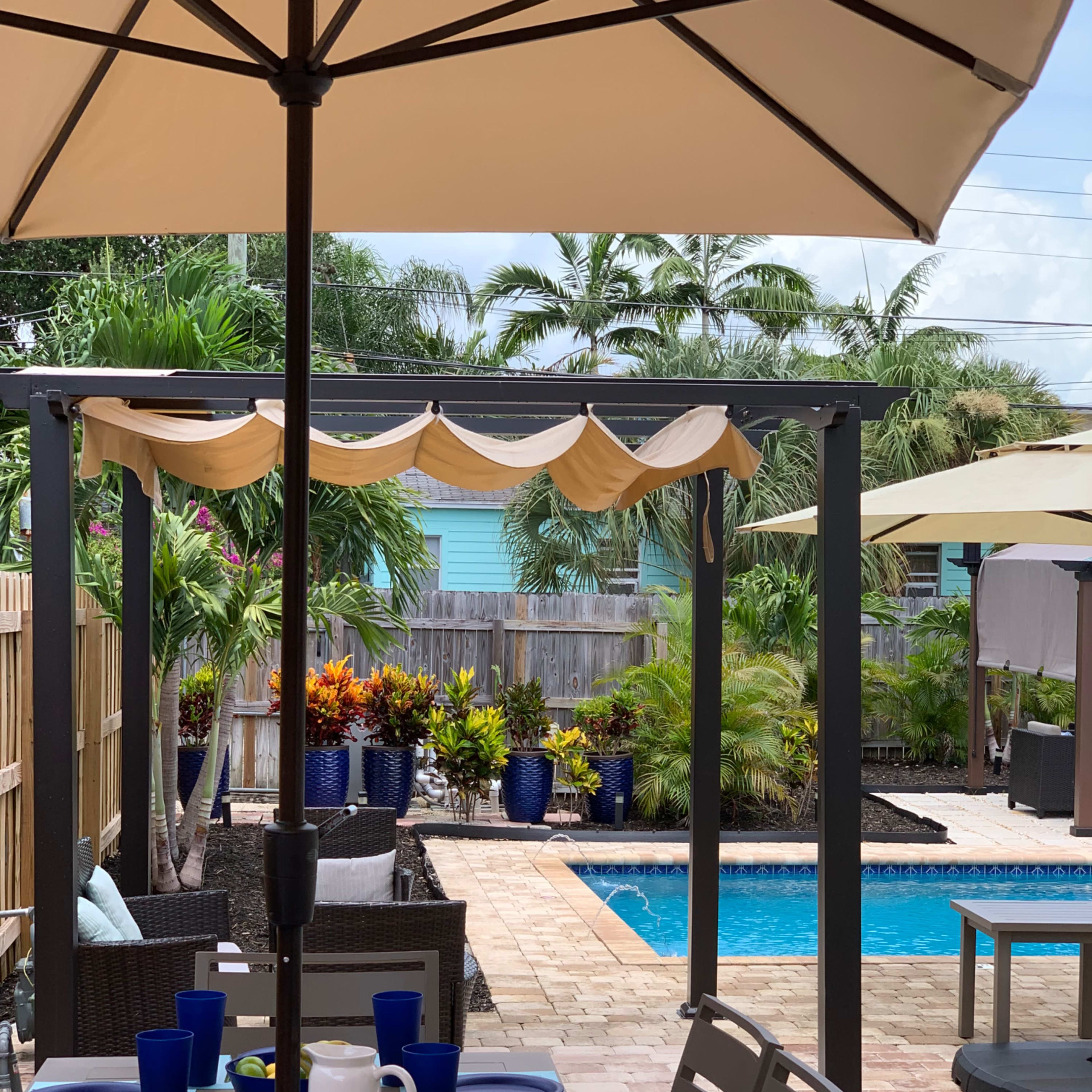 A dining table is set with plates and blue cups near a swimming pool surrounded by tropical plants under an outdoor umbrella.