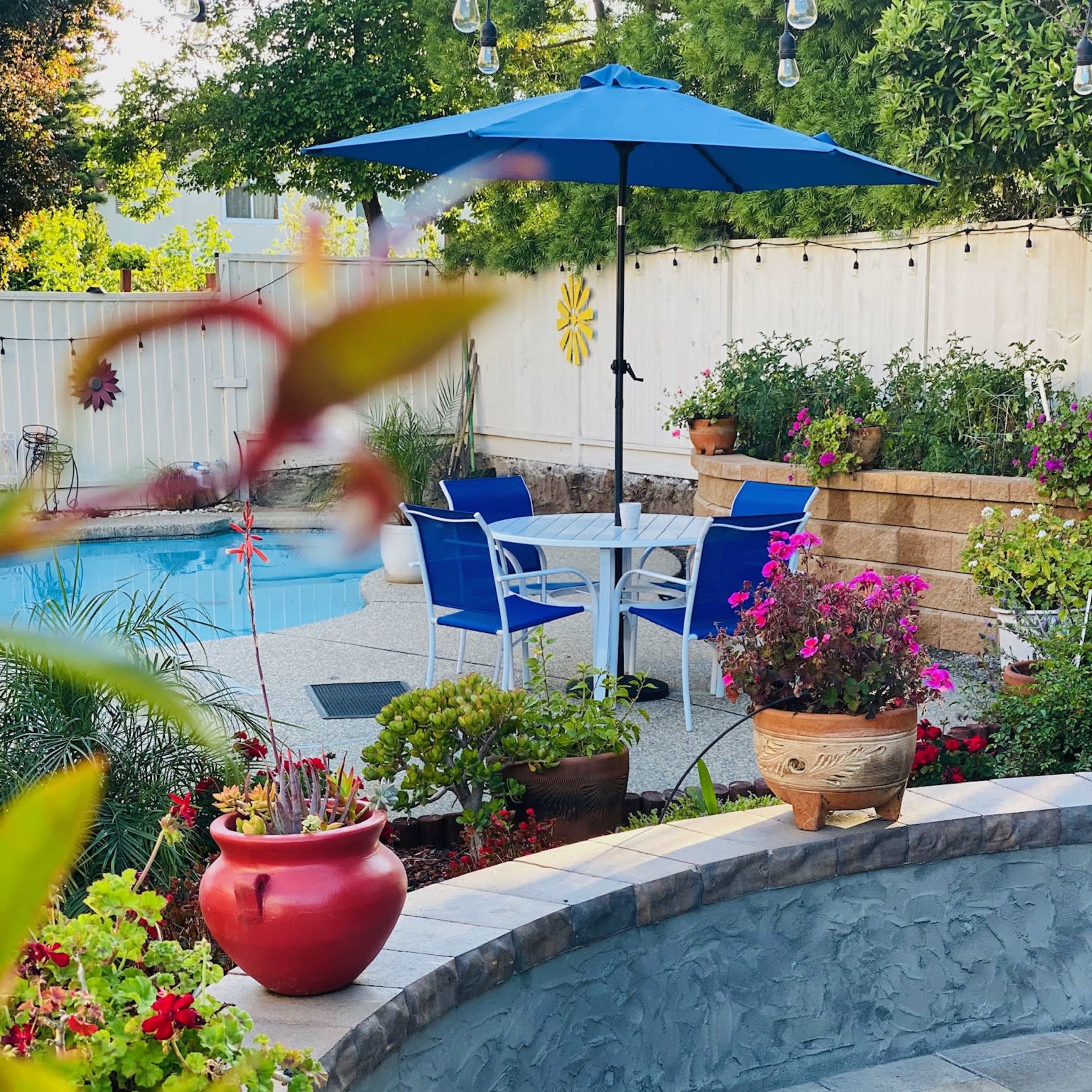 A blue umbrella shades a patio table and chairs beside a swimming pool, surrounded by colorful flower pots and landscaped greenery.