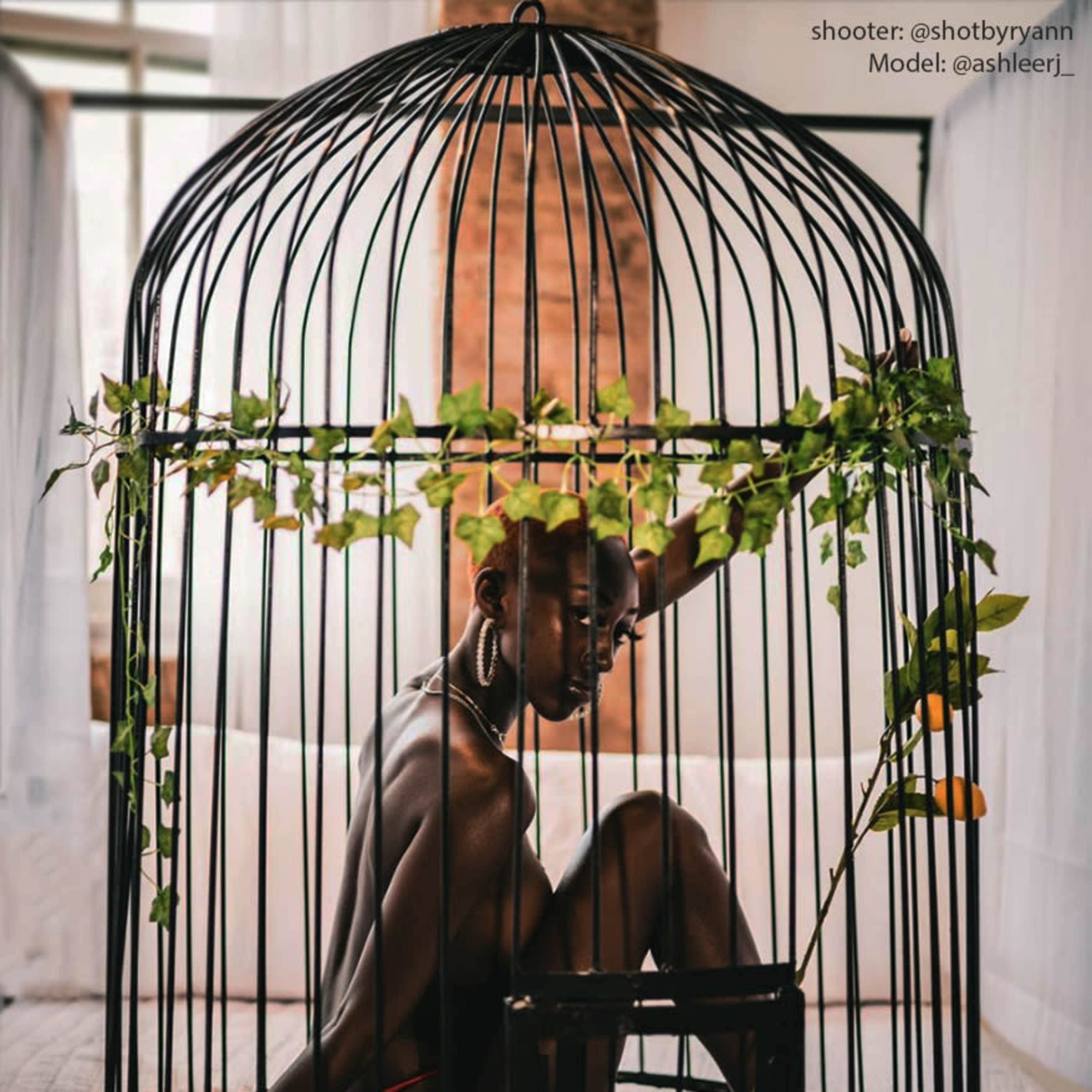 A person sits inside a large metal cage adorned with greenery, in a softly lit indoor space.