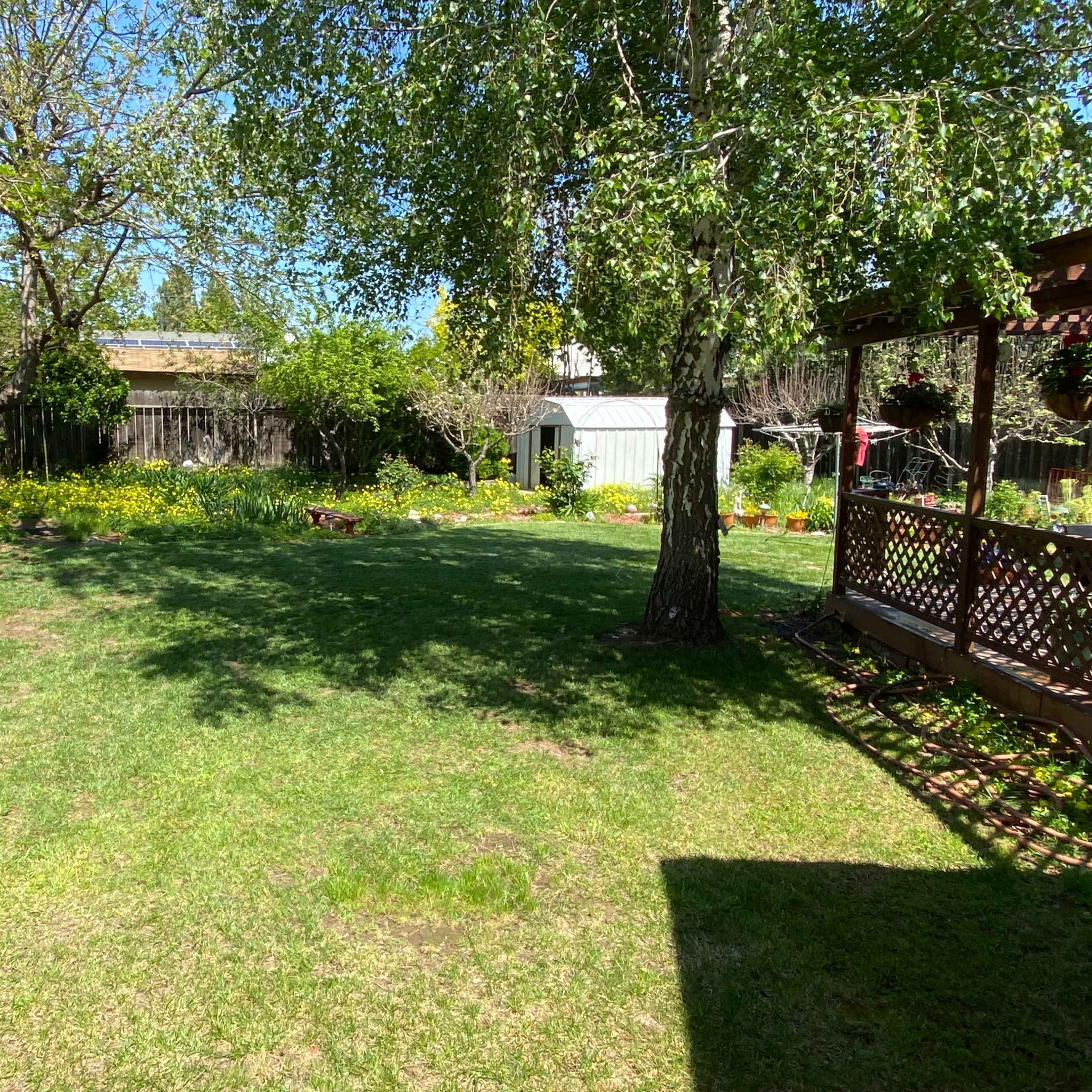 A spacious backyard features green grass, trees, and a garden area surrounded by a wooden patio and shed.