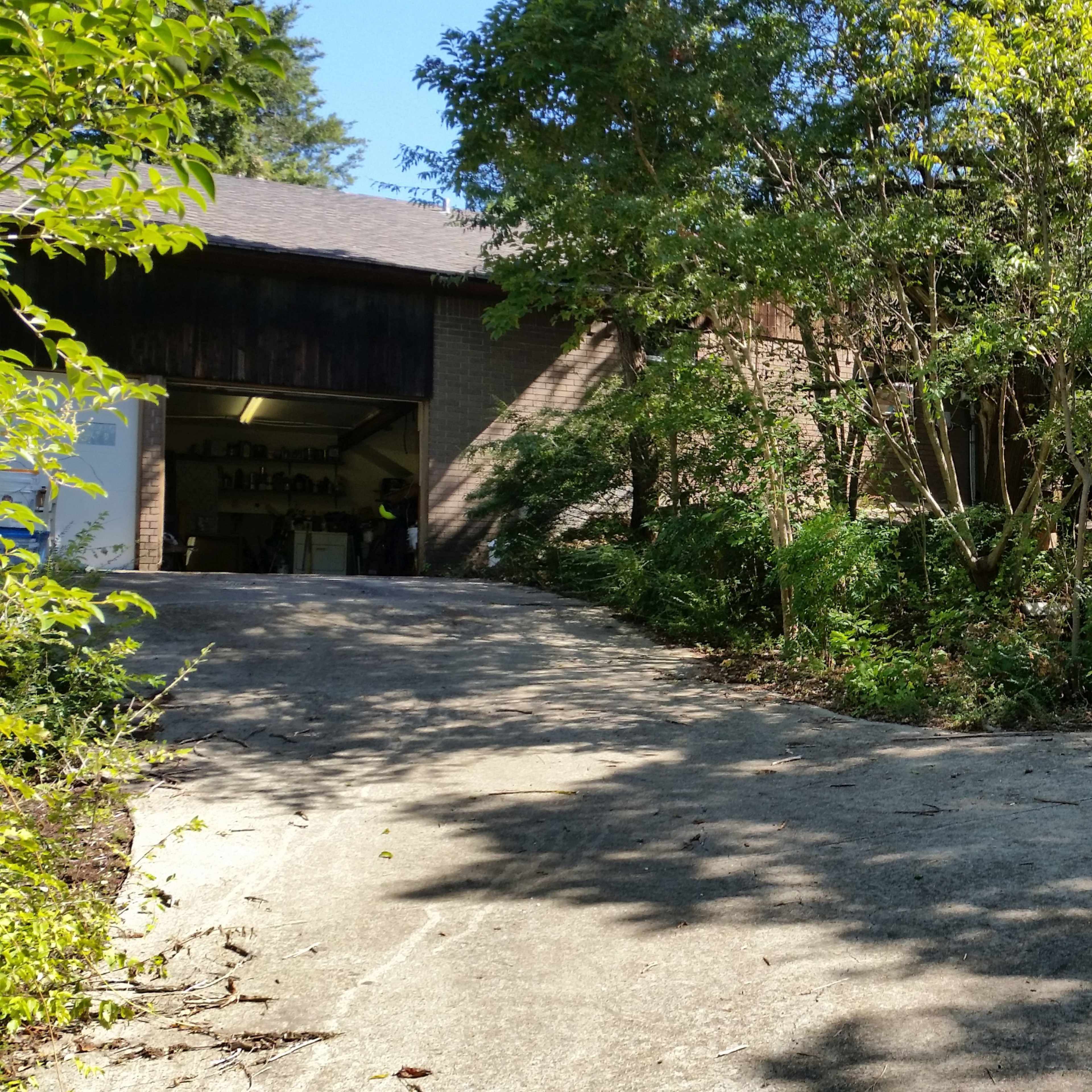 A concrete driveway splits into two paths surrounded by greenery and trees.