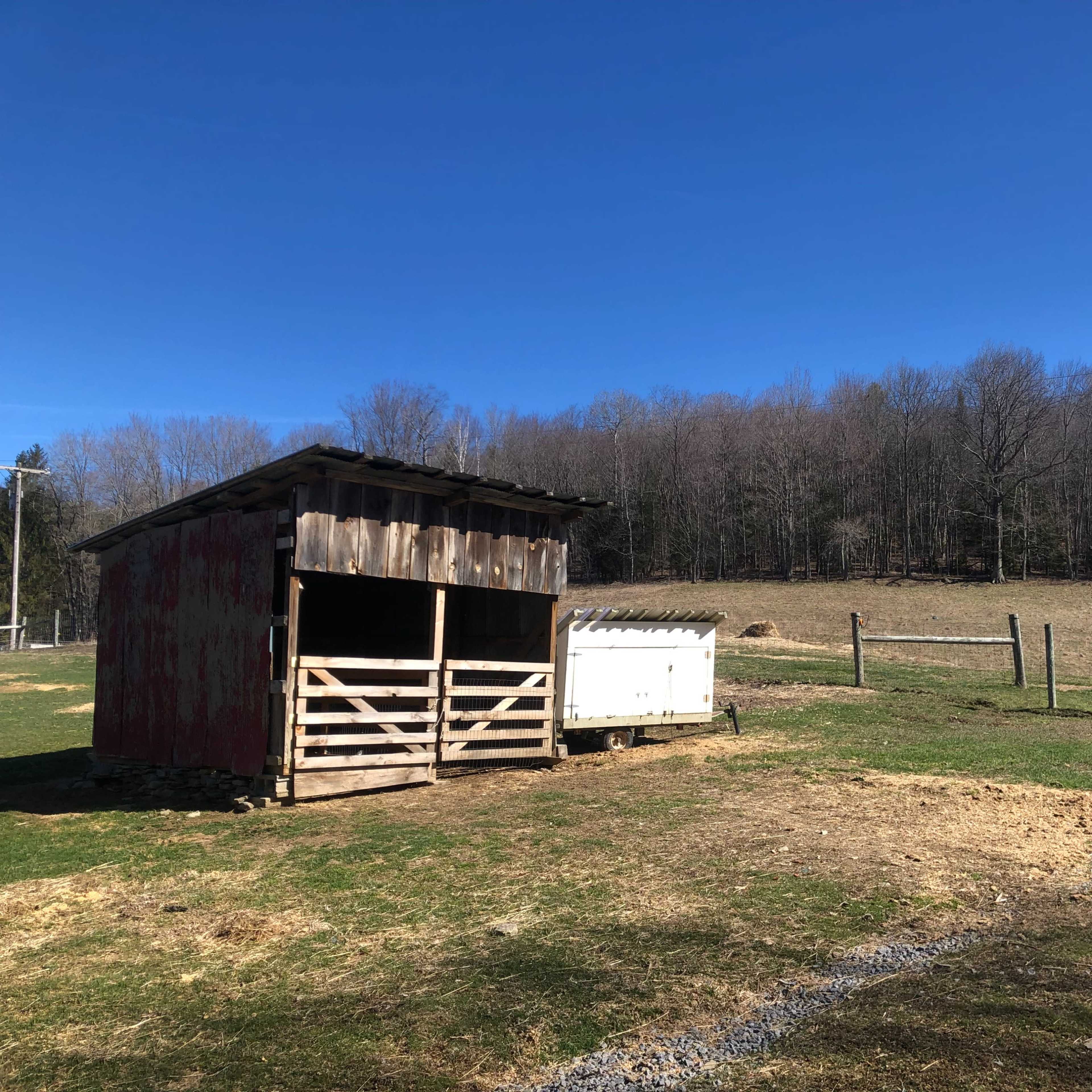 A red barn stands next to a fenced pasture under a clear blue sky, with trees in the background.