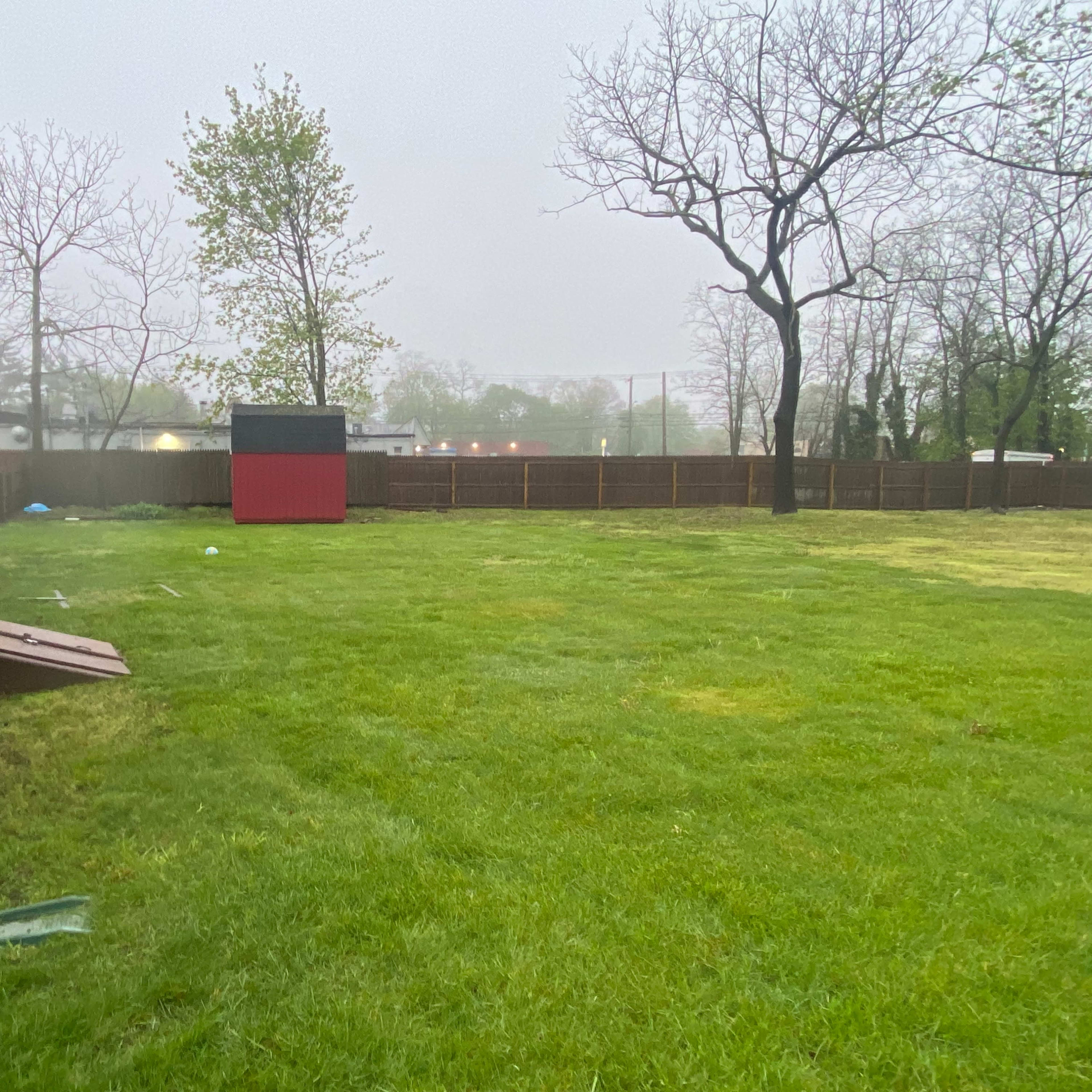 A grassy backyard features a shed painted red, surrounded by trees and a foggy atmosphere.