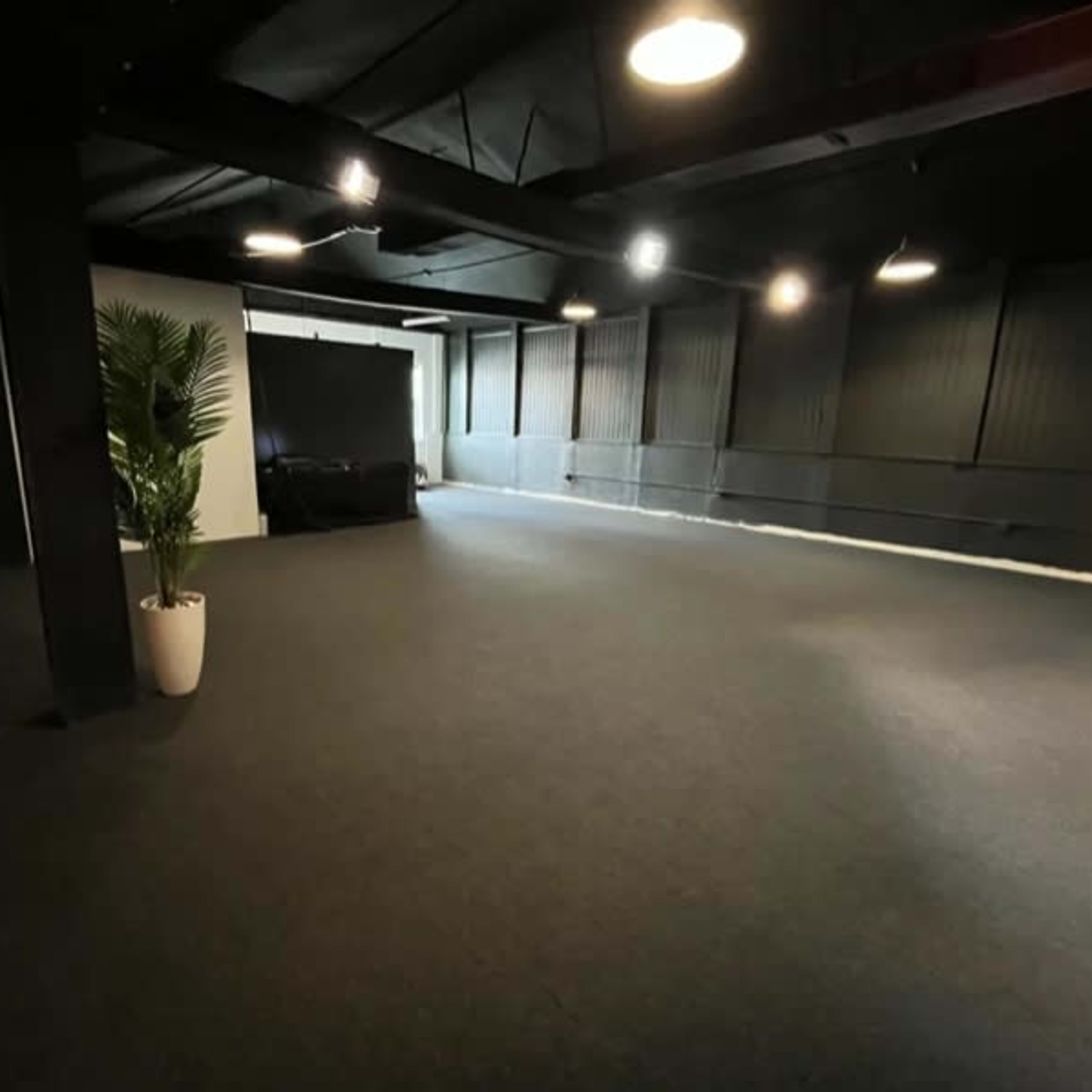 A spacious, empty room with dark walls, a large screen at the far end, and a potted plant in the corner.