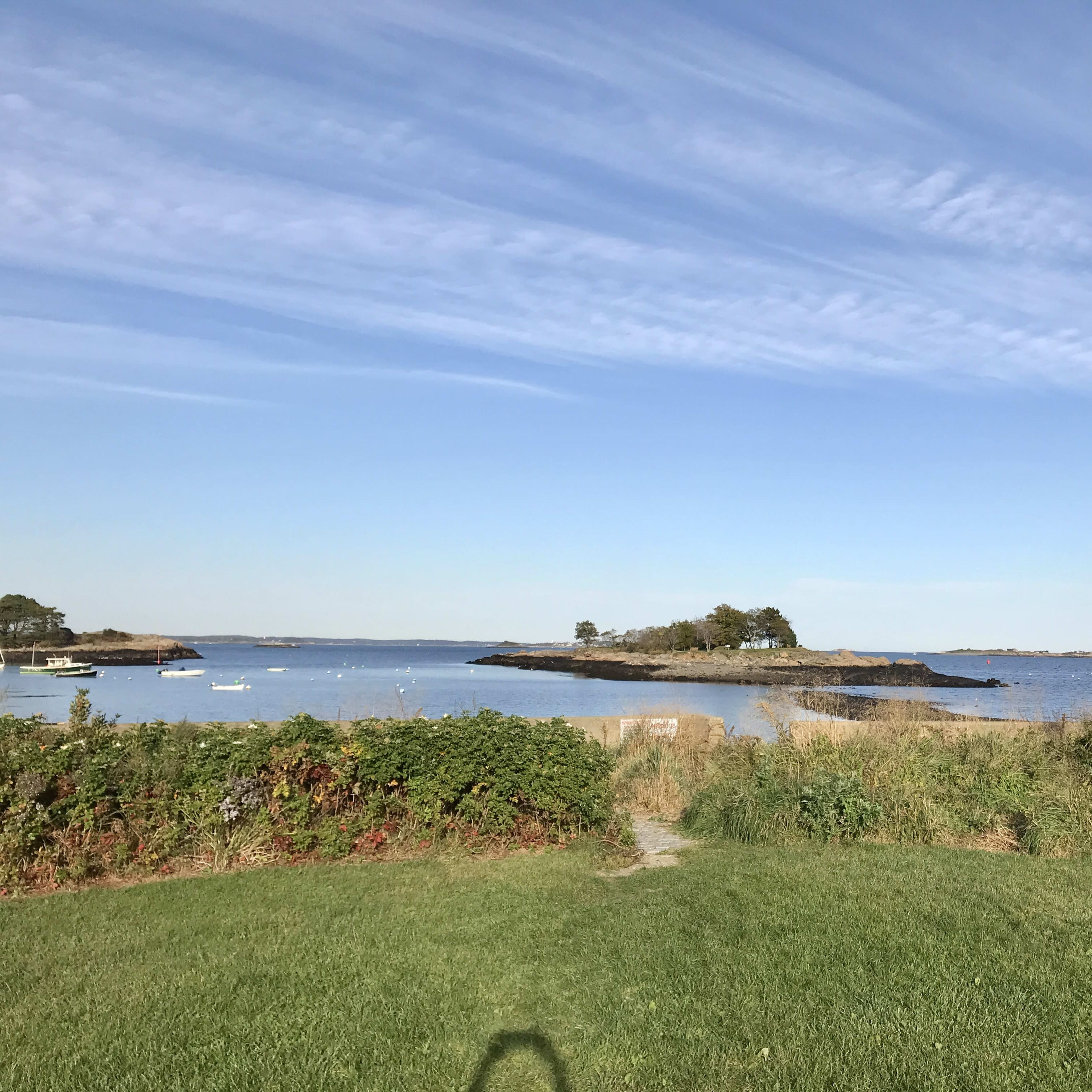 A grassy area leading to a calm coastal scene with water, small islands, and a modern building on the right.