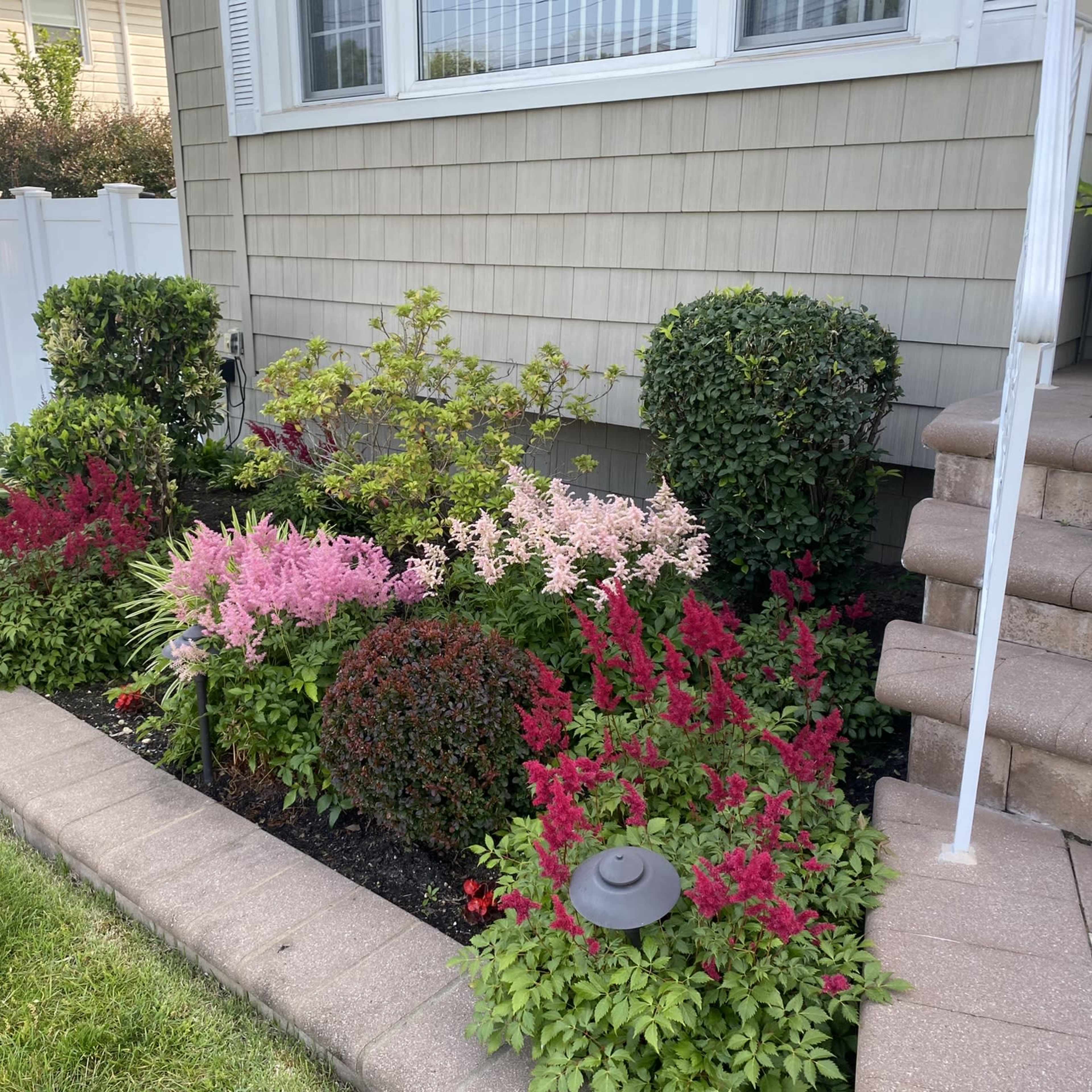 A well-maintained garden featuring a variety of colorful flowers and shrubs along a stone pathway leading to a house, with an American flag visible in the background.