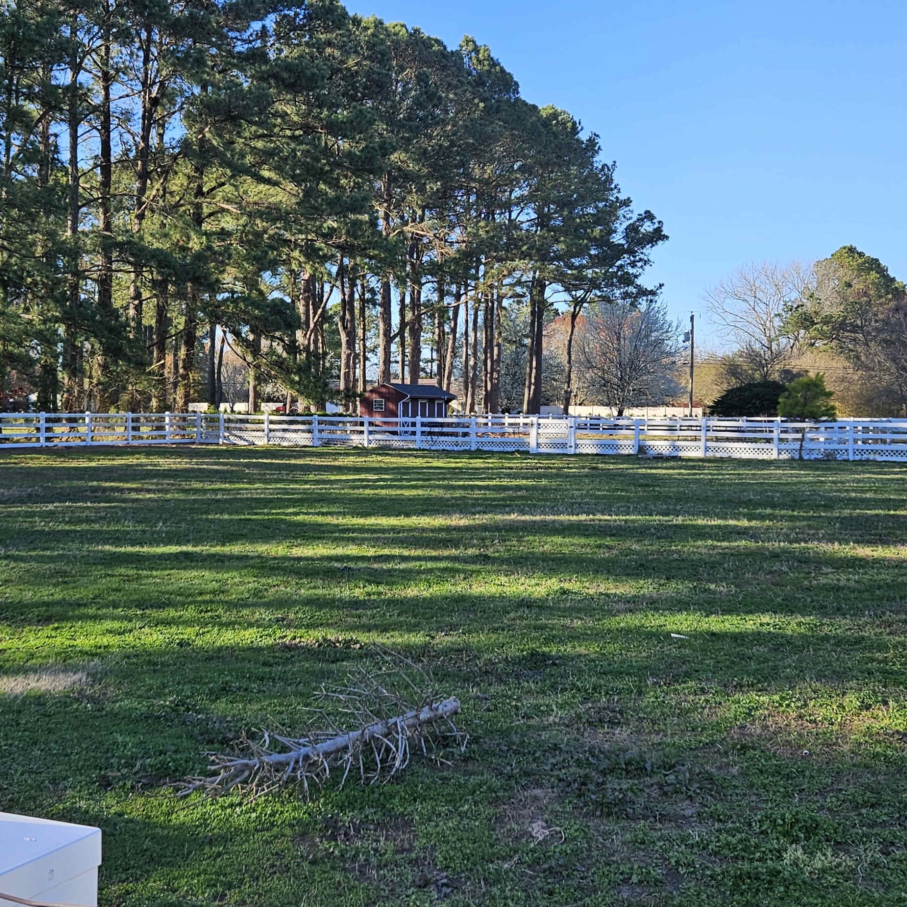 A large, grassy fenced area surrounded by tall trees and a clear blue sky.
