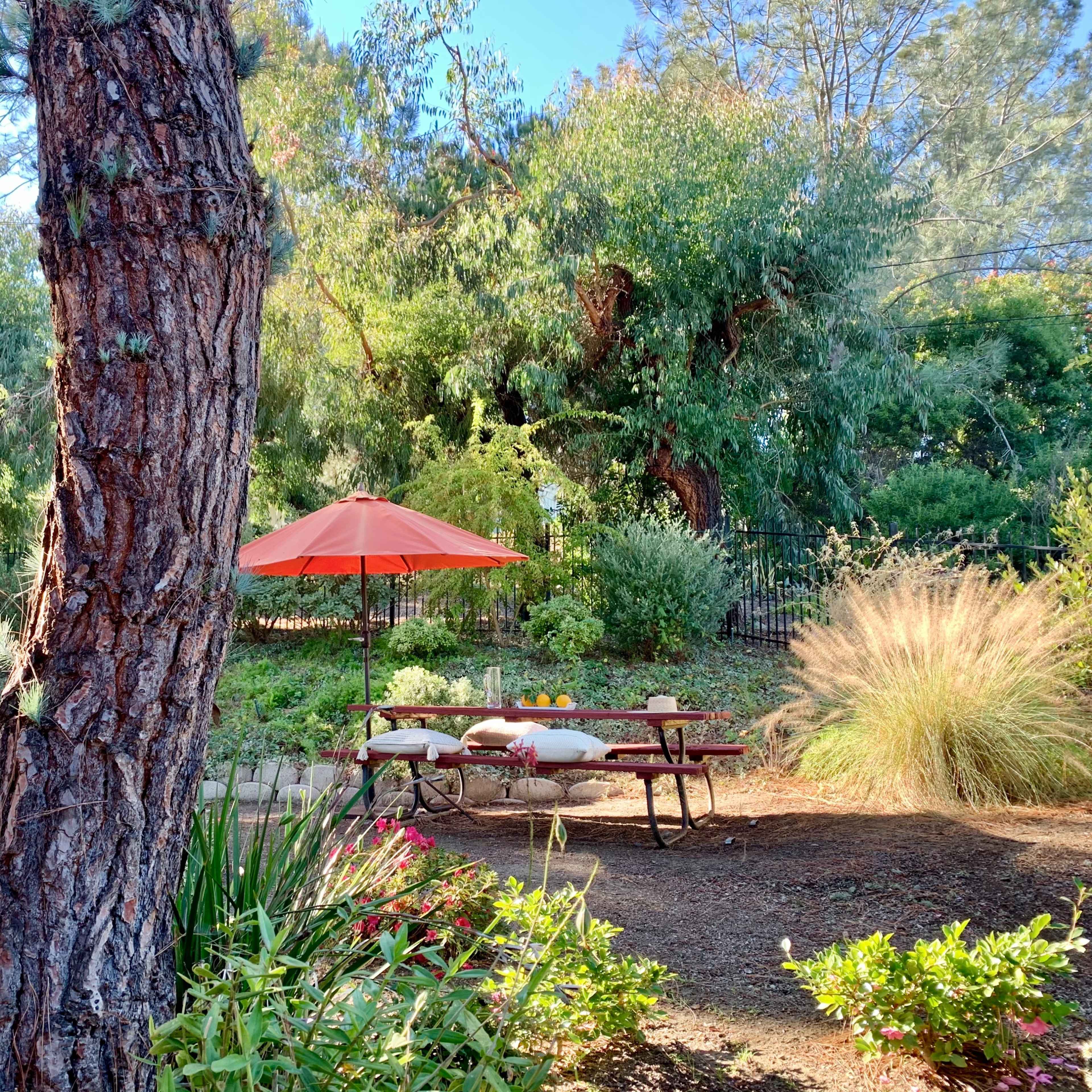 A picnic area with a red umbrella is situated among trees and shrubs in a garden setting.