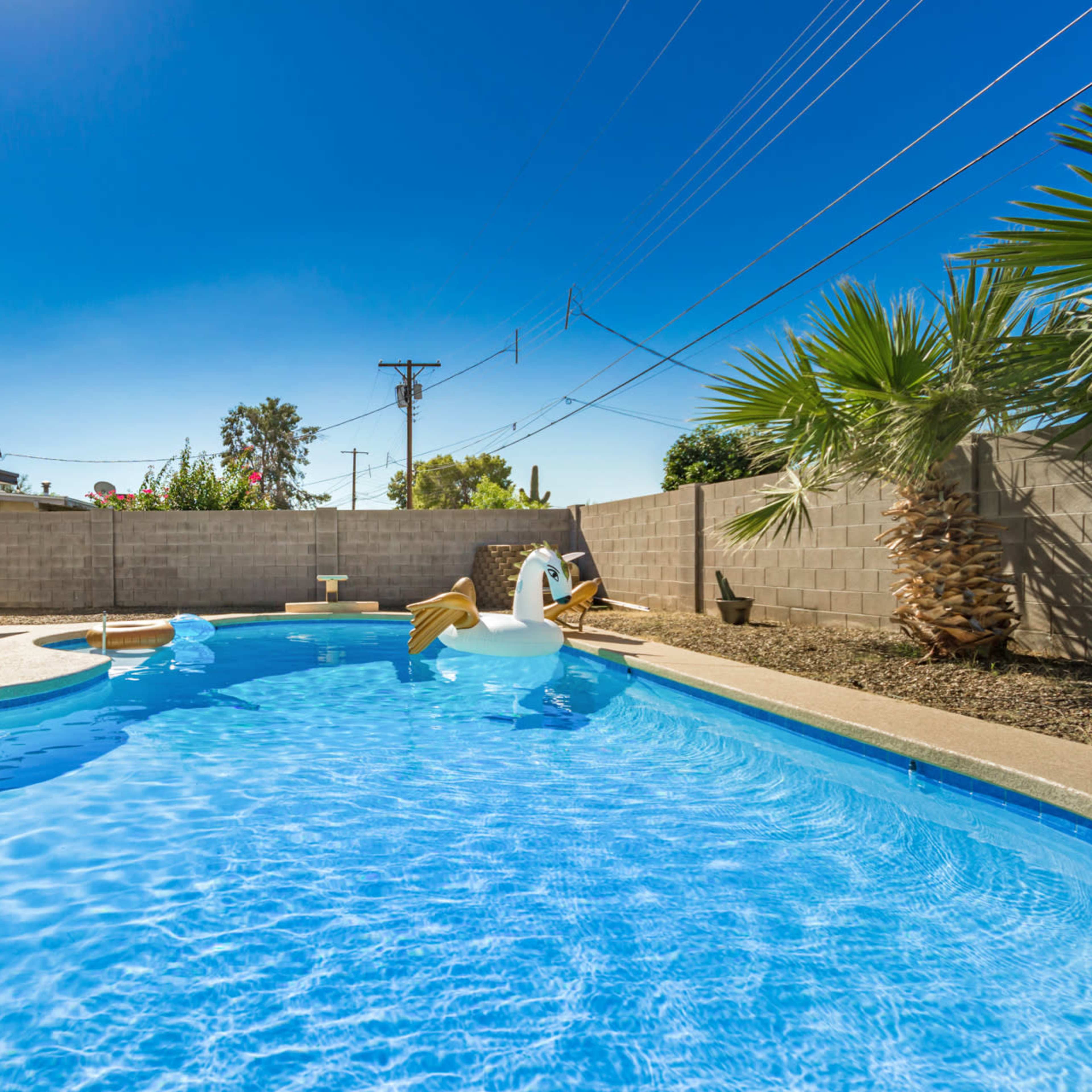 A swimming pool with steps and an inflatable swan is surrounded by a wall and palm trees under a clear blue sky.