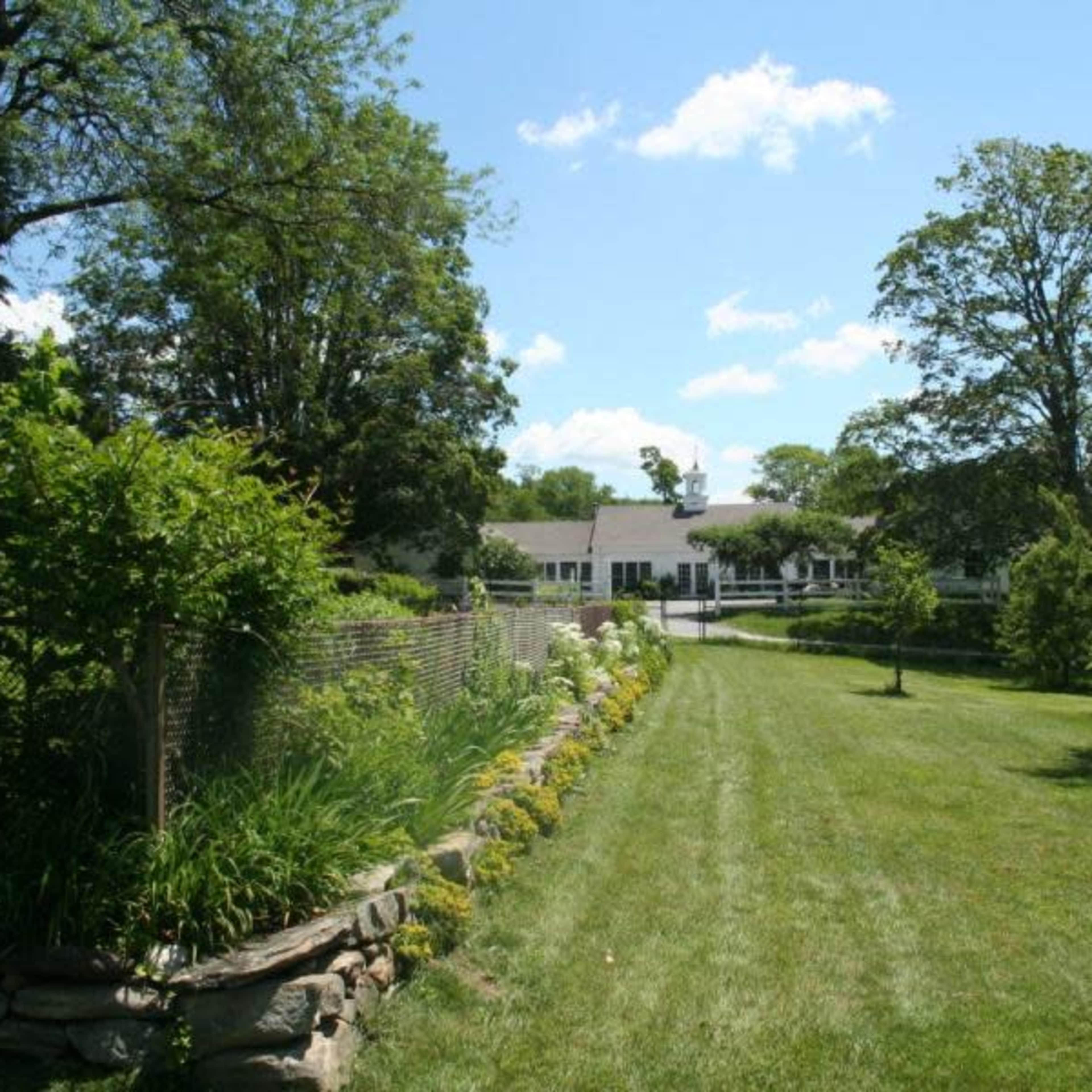 A lush green lawn leads to a modern house, surrounded by trees and a stone-lined garden.