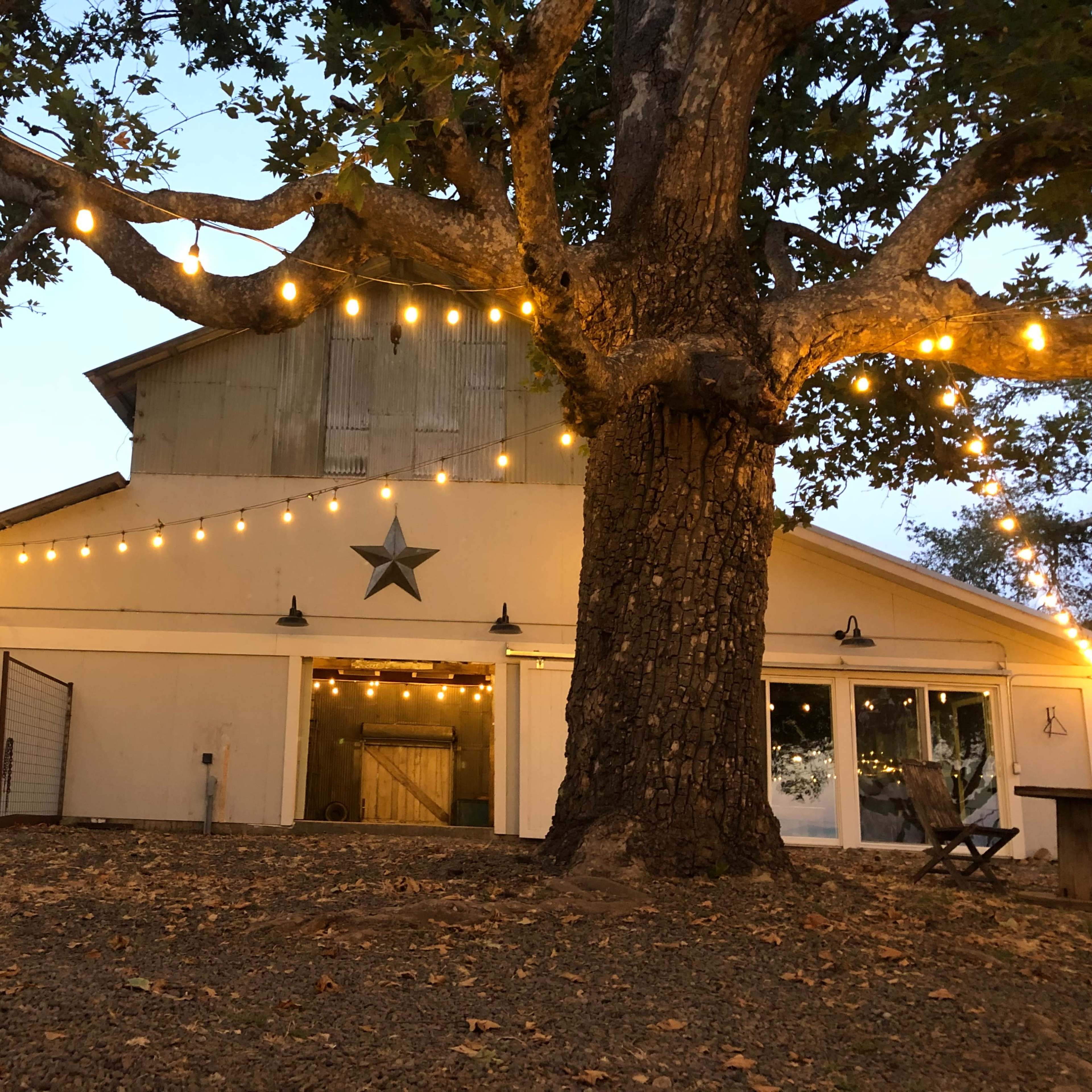 A barn adorned with string lights, situated under a large tree in a dimly lit outdoor setting.