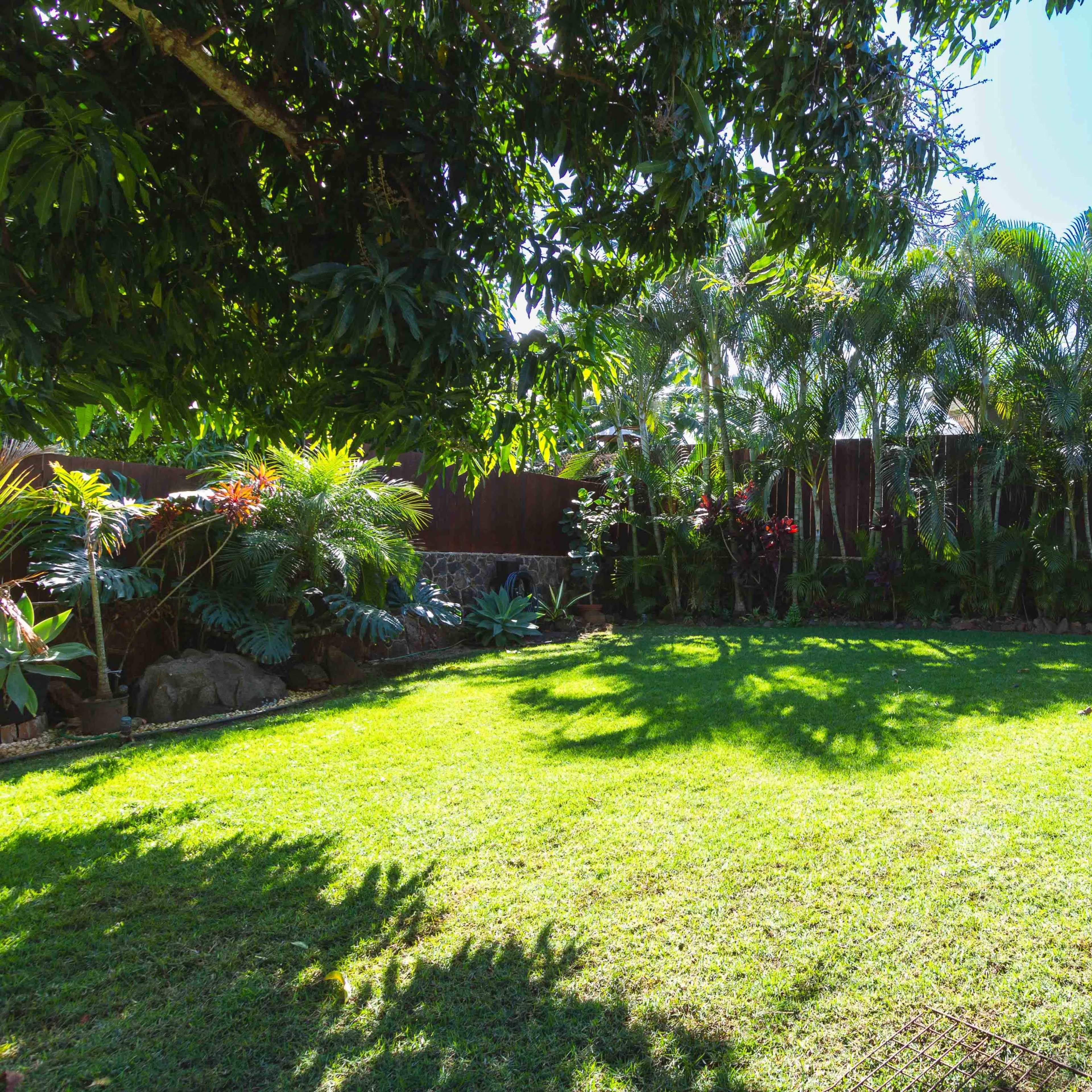 A well-maintained backyard features a large green lawn surrounded by various tropical plants and trees.