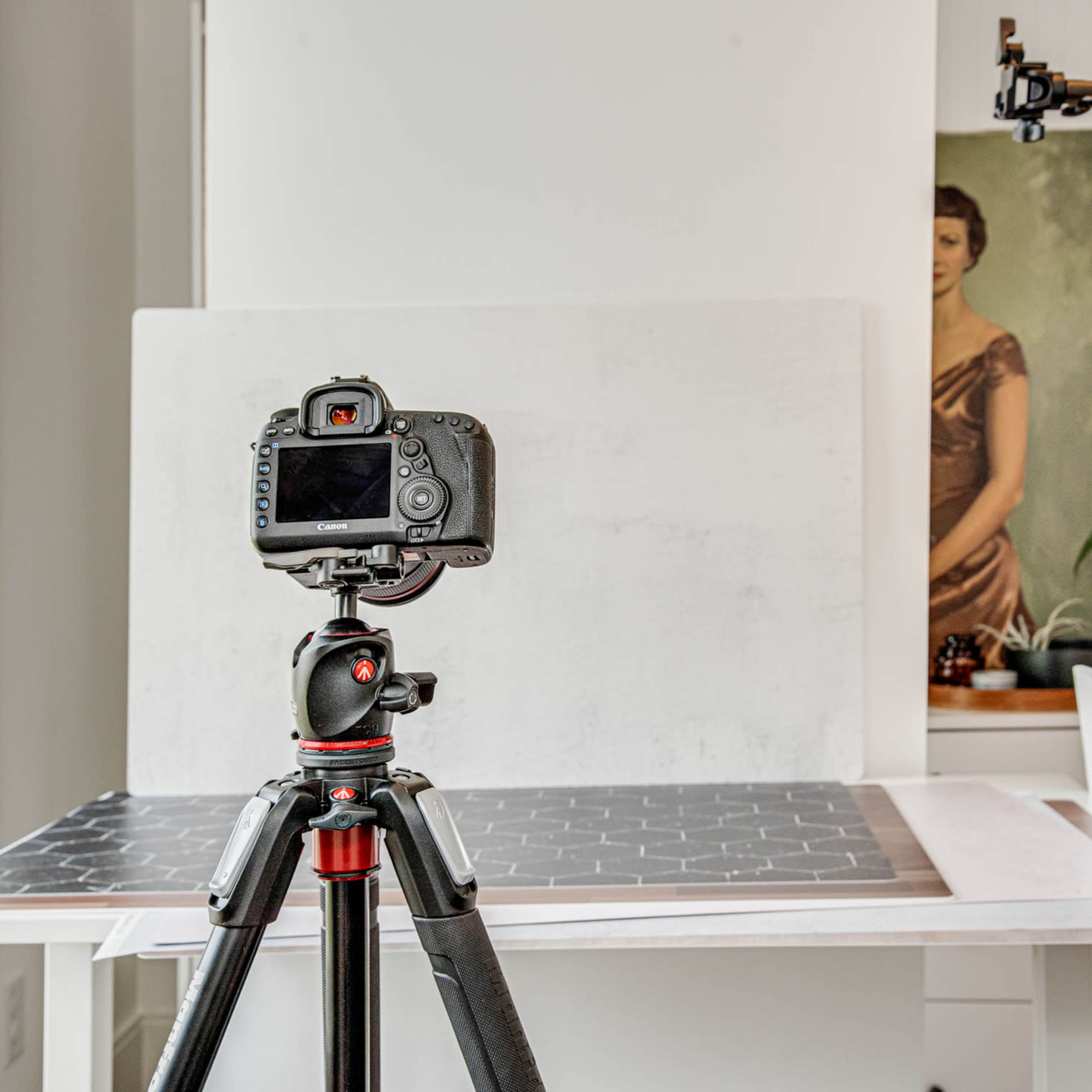 A camera on a tripod is positioned in front of a blank backdrop and a painting, with a plant and a table in the scene.
