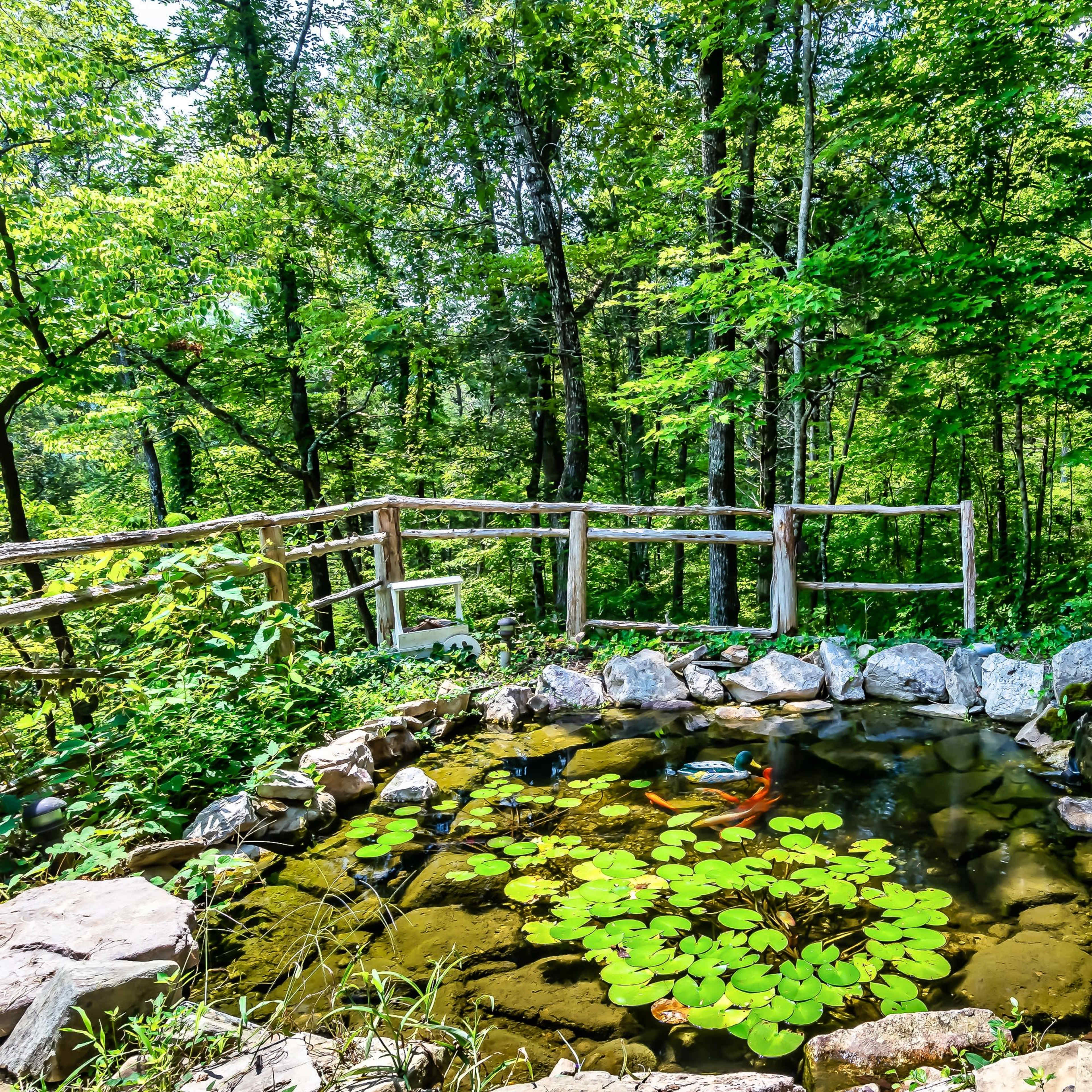 A pond surrounded by rocks and lily pads is situated in a wooded area with green trees and a wooden fence in the background.