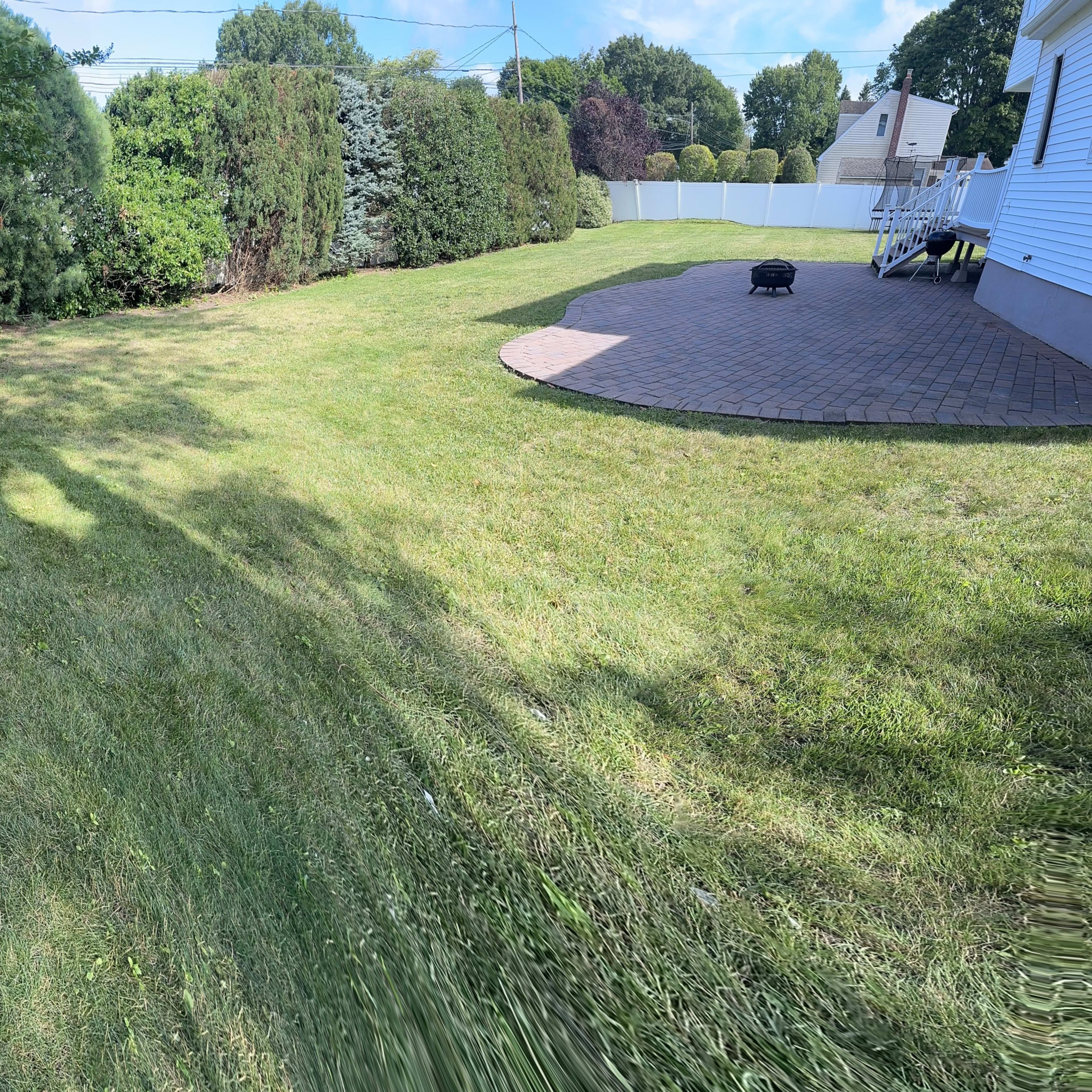 A grassy yard is bordered by trees and shrubs, leading to a paved patio area.