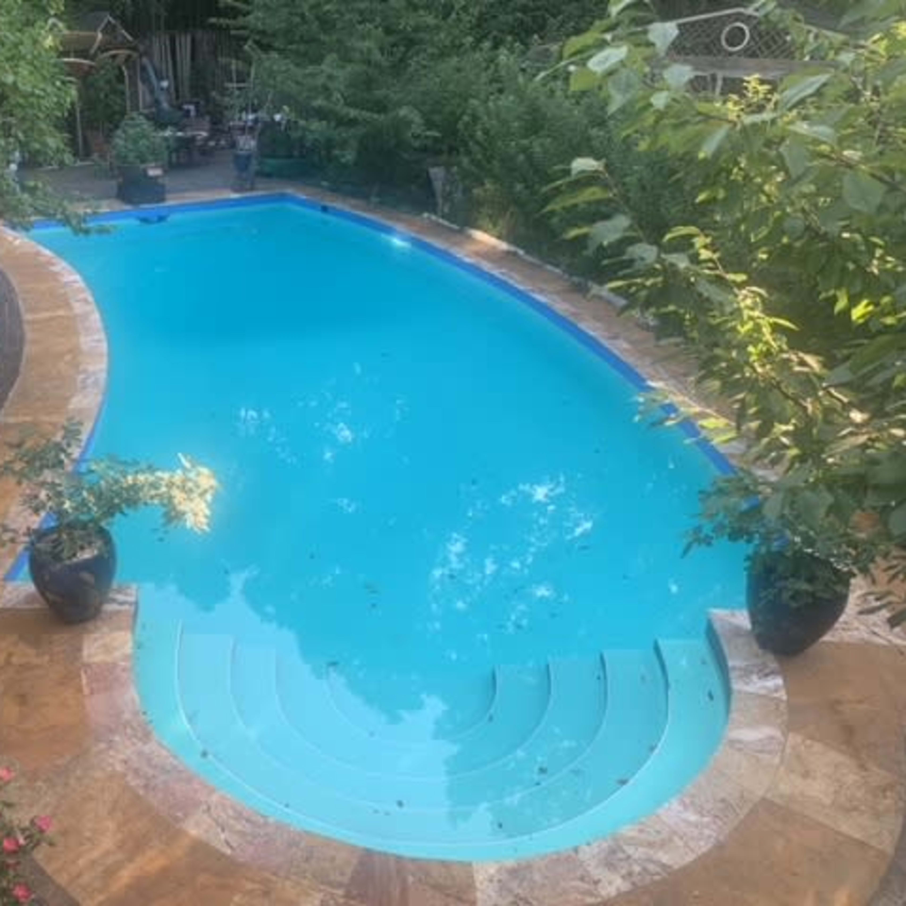 A swimming pool surrounded by lounge chairs and greenery in a backyard setting.