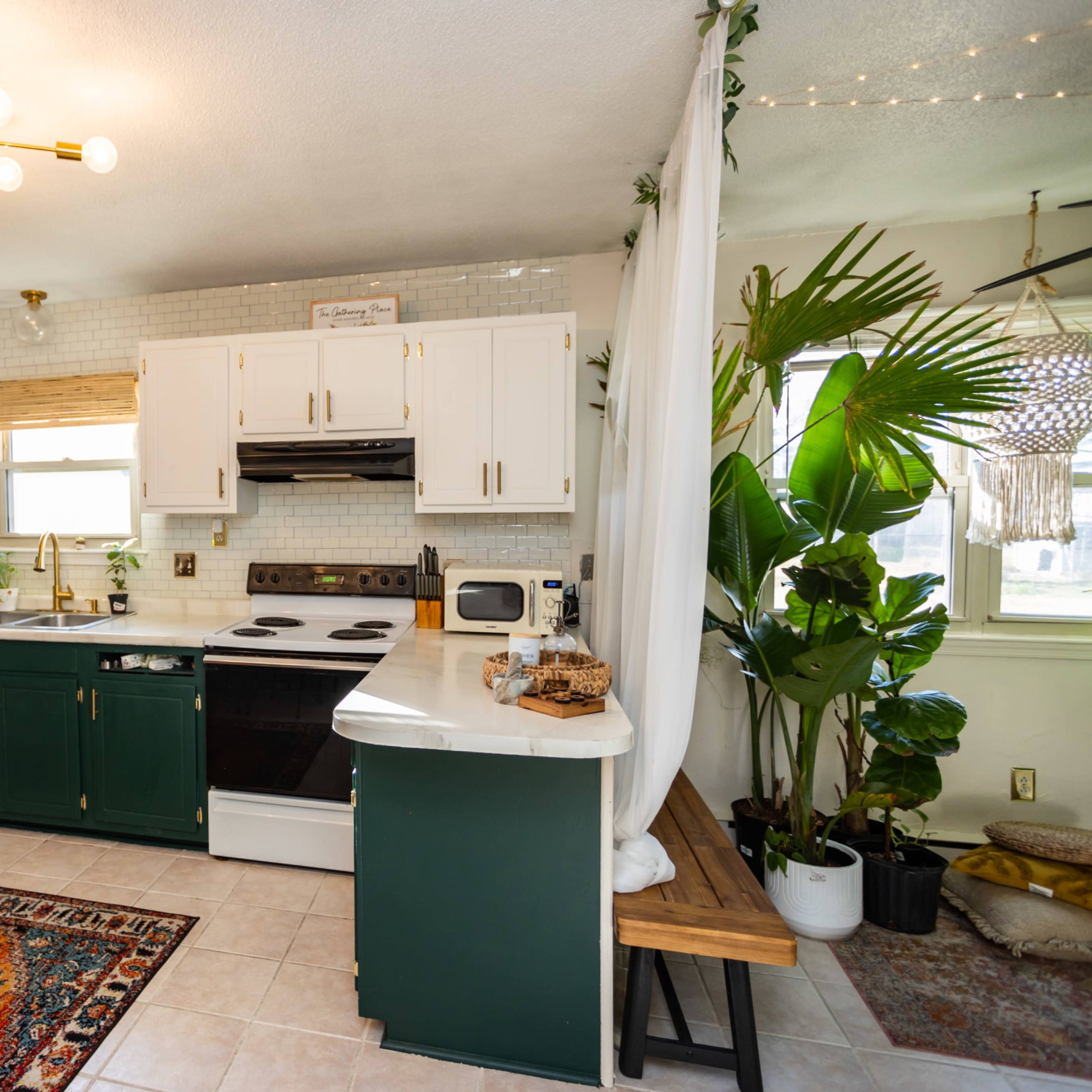The kitchen features green cabinetry, a white countertop, and a seating area with a bench, accompanied by a large potted plant and a colorful area rug.
