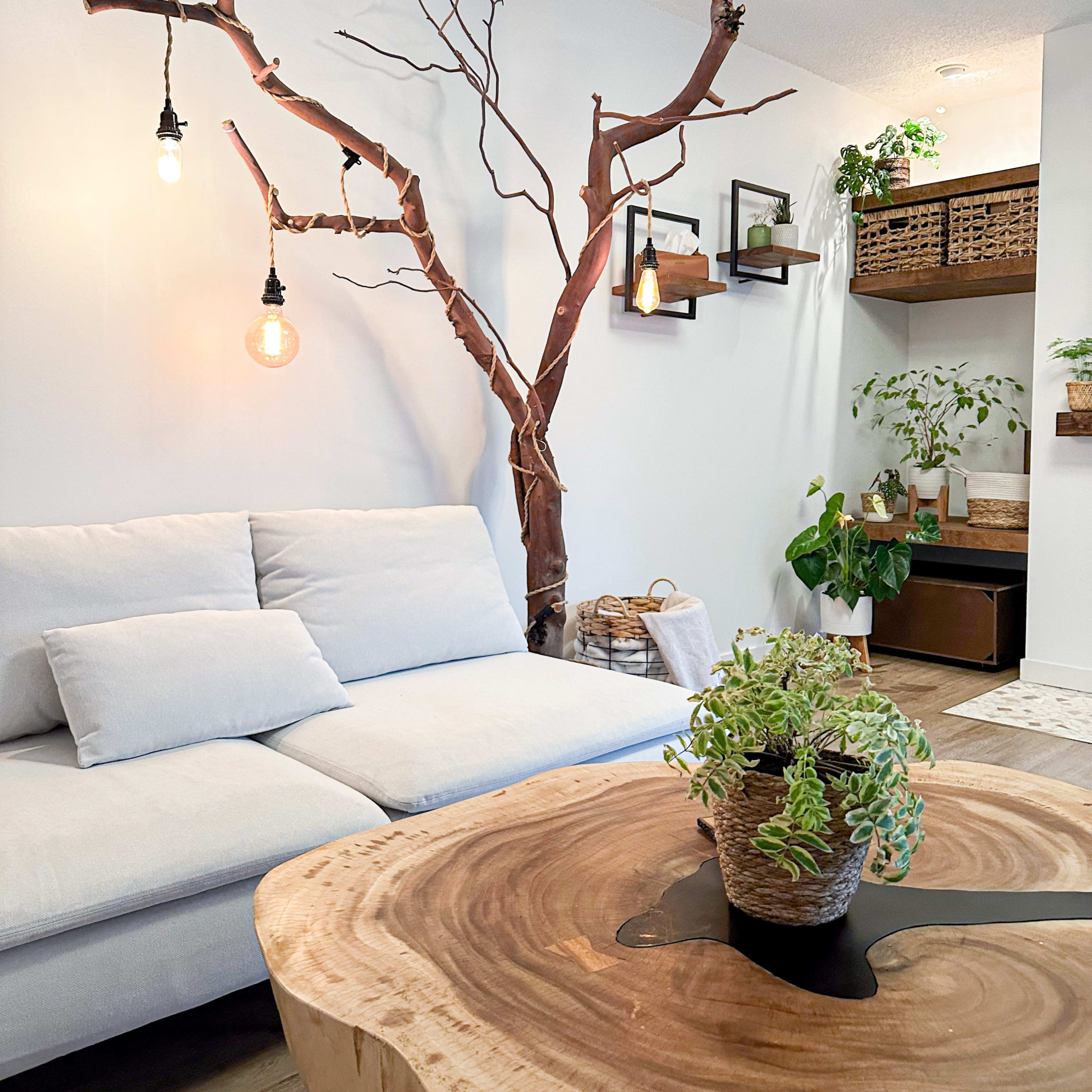 A modern living room features a light gray sofa, a round wooden coffee table, and a sculptural tree branch mounted on the wall with hanging light fixtures.