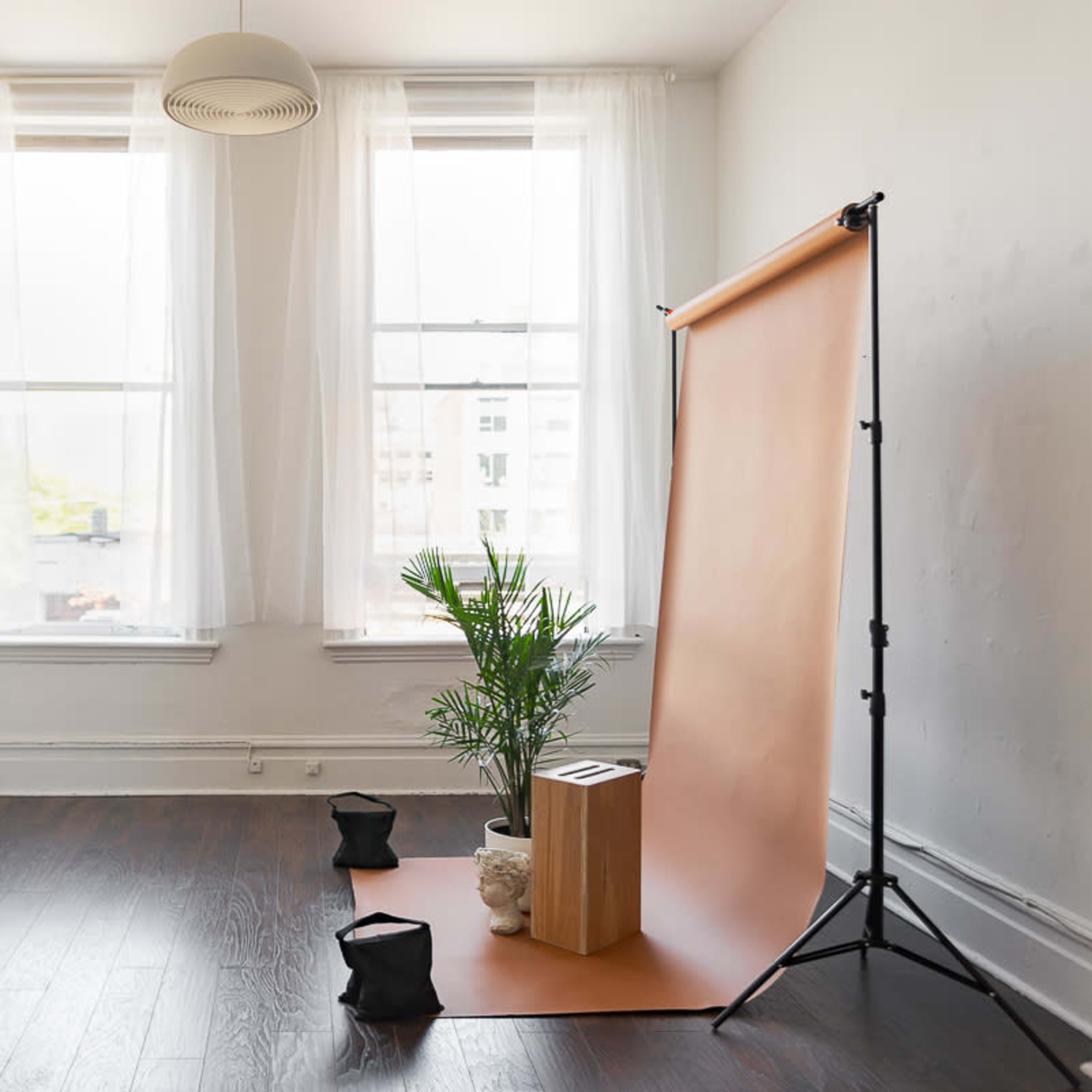 A bright room with large windows, featuring a tan backdrop, a potted plant, and a wooden pedestal on a wooden floor.