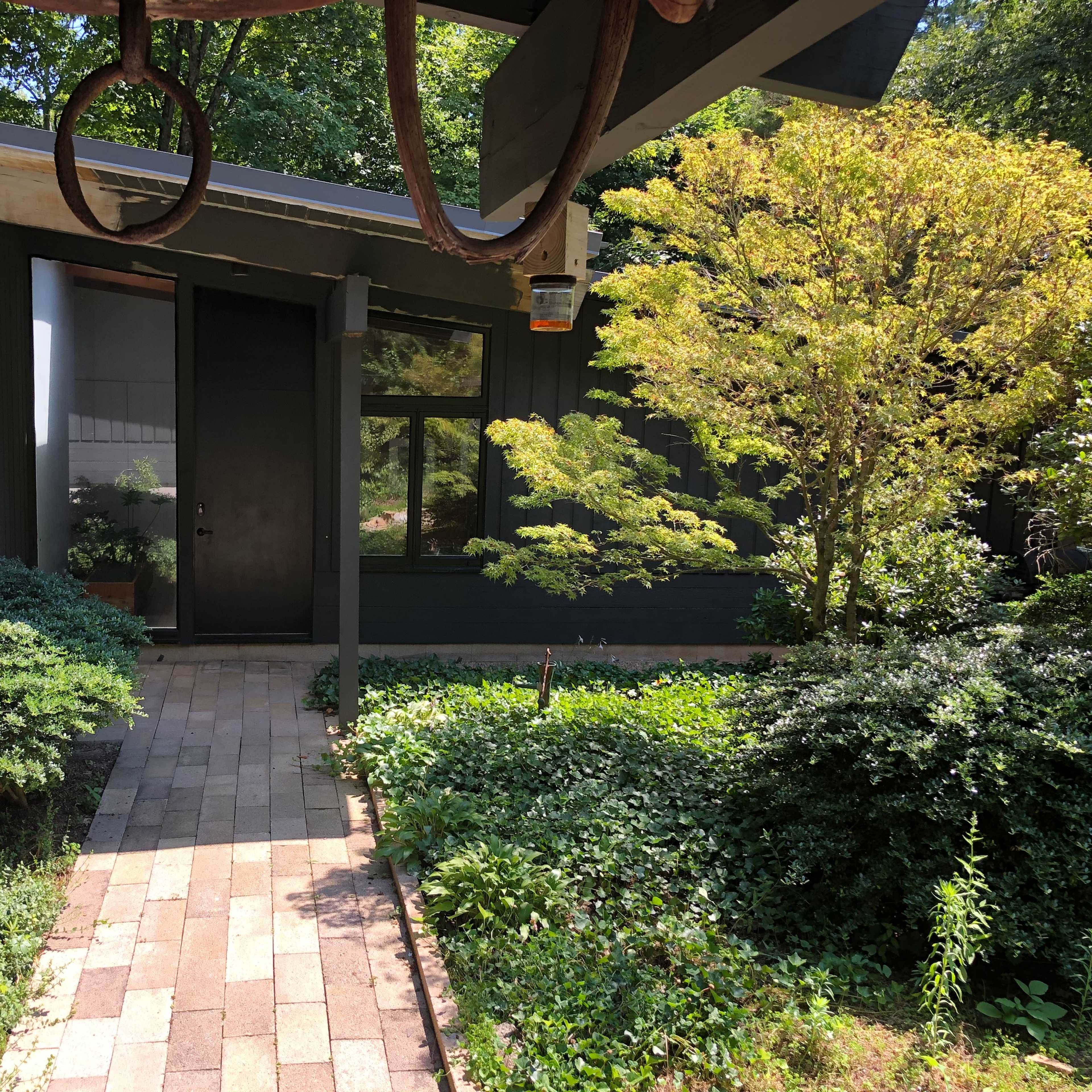 A brick pathway leads to a modern house surrounded by lush greenery and trees.
