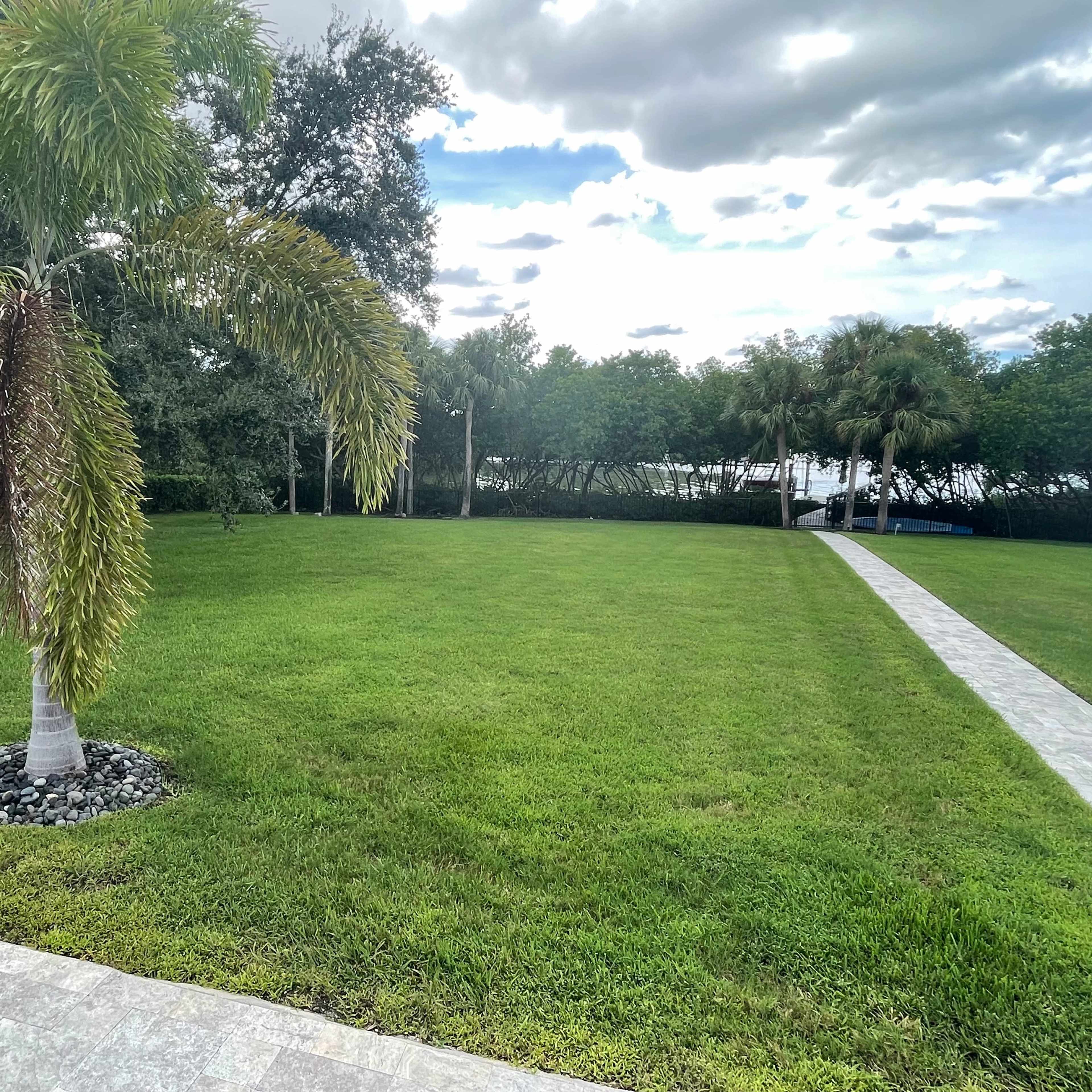 A landscaped area features a palm tree on a neatly maintained lawn with a stone pathway leading away from it.