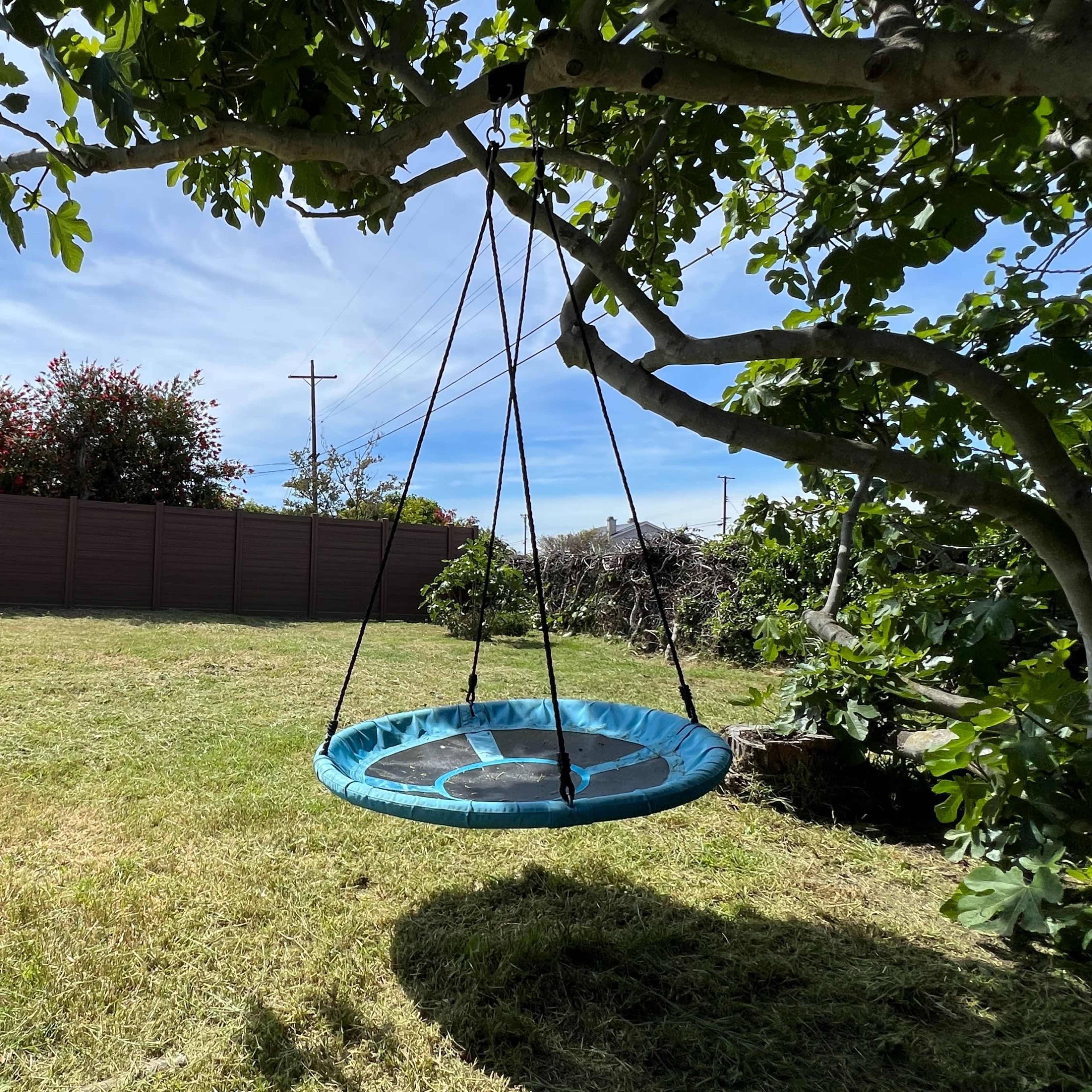 A circular swing hangs from a tree in a grassy backyard with a fence and palm trees in the background.
